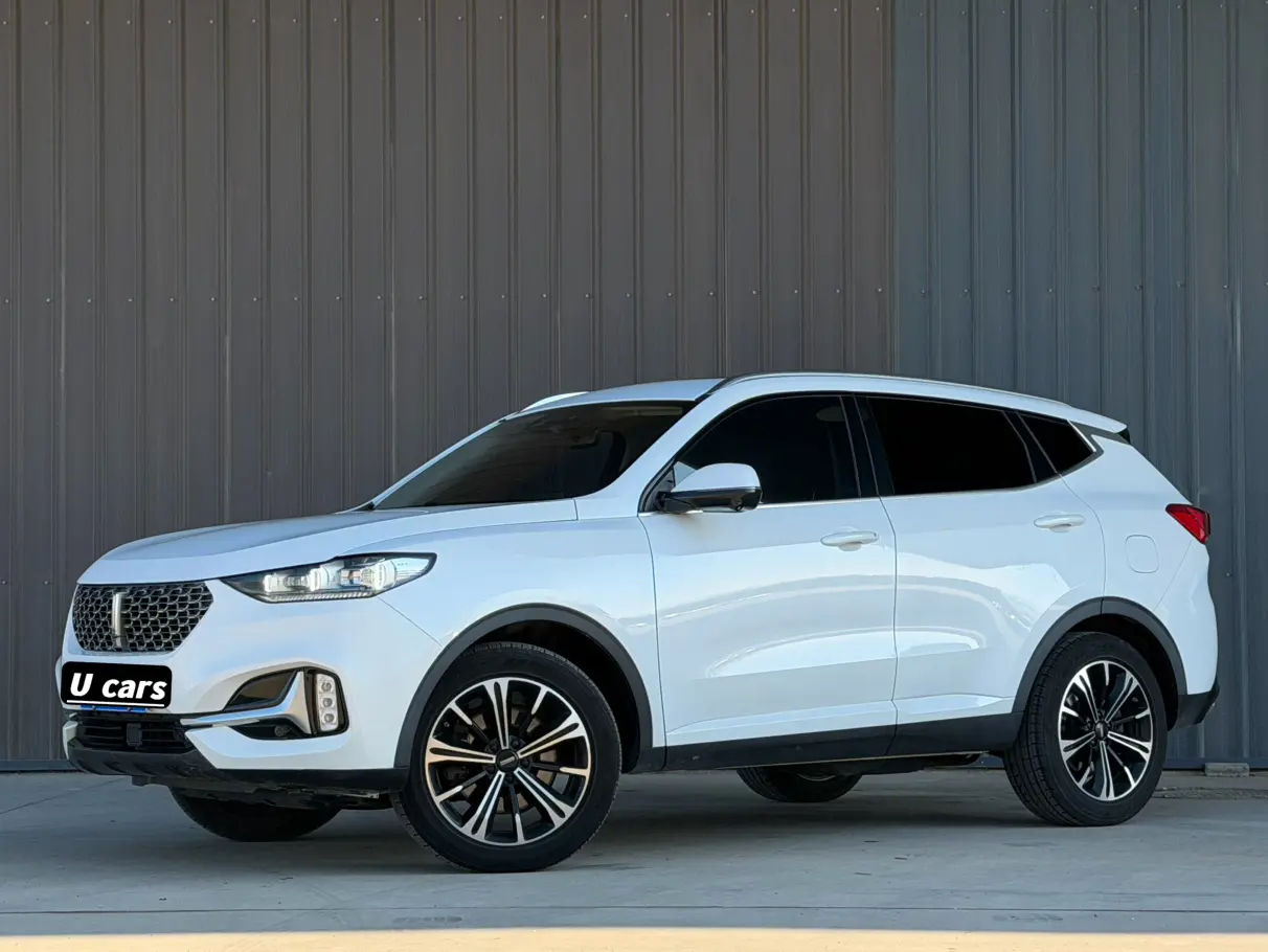 Wey Wei brand VV6