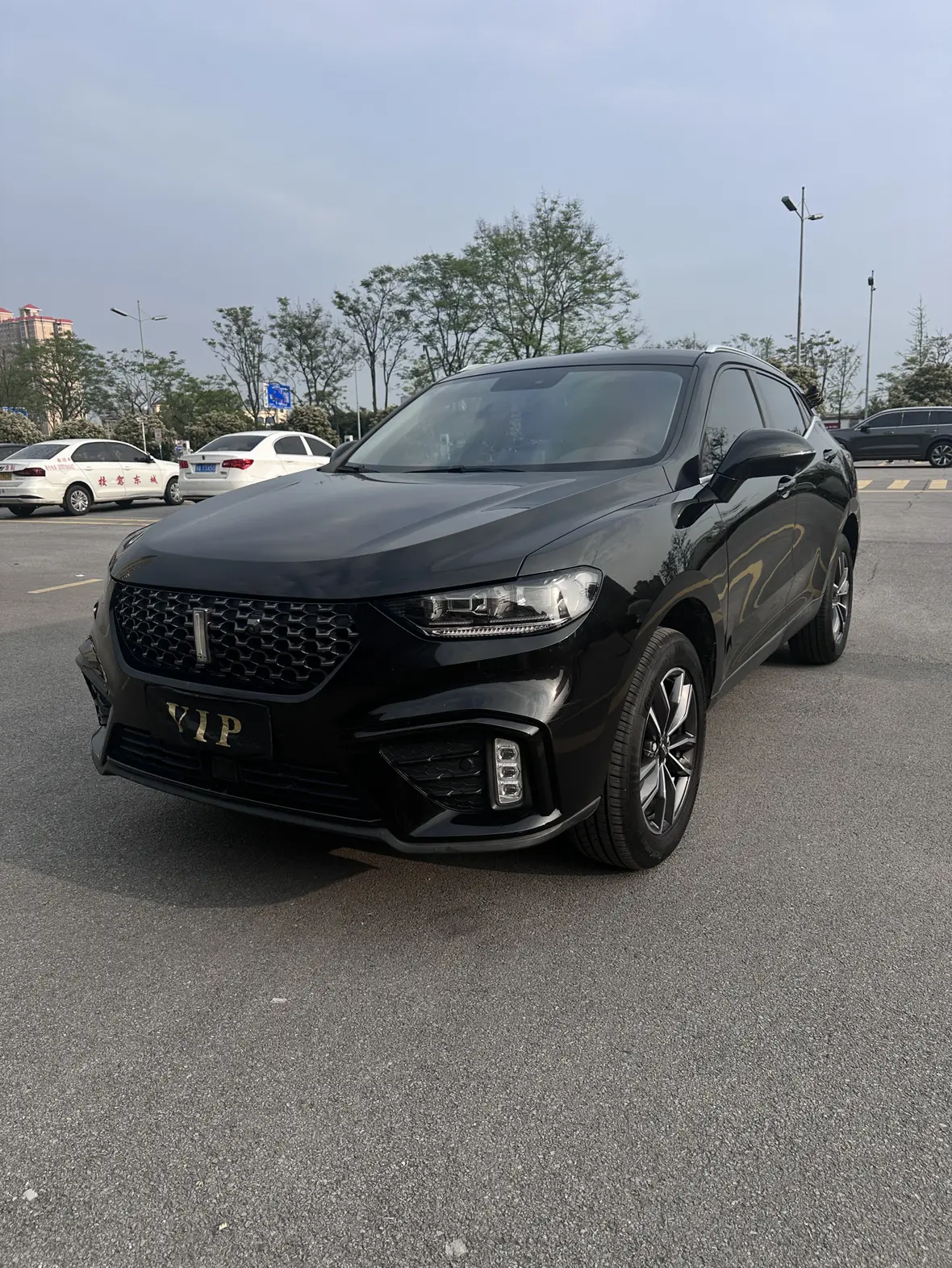 Wey Wei brand VV5