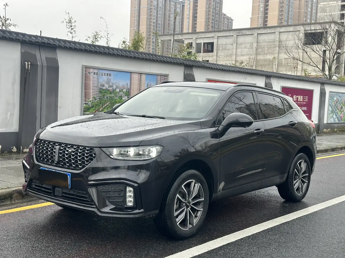 Wey Wei brand VV5