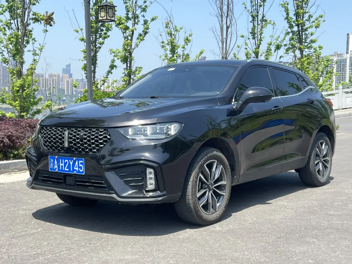 Wey Wei brand VV5