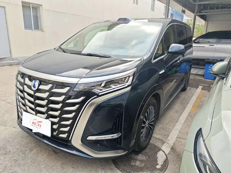 Denza D9 DM