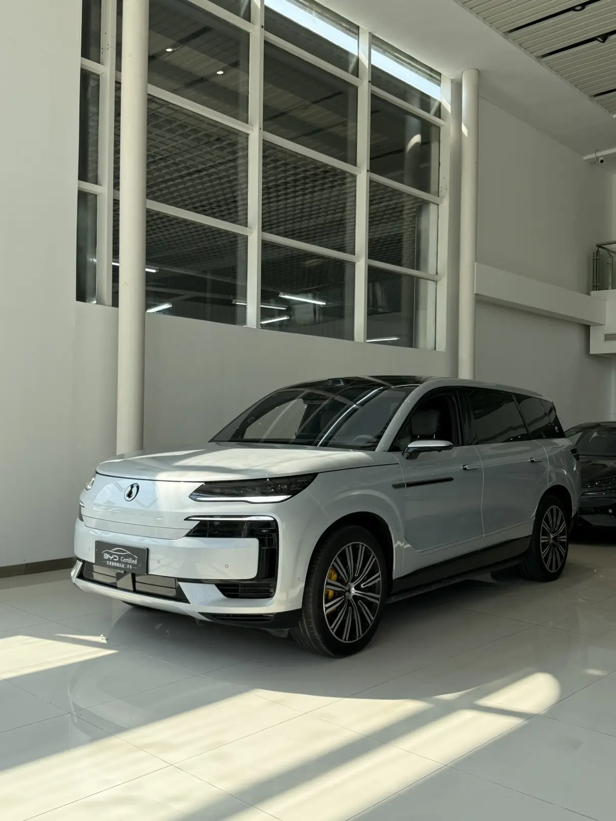 Denza Tengzhong N9 DM