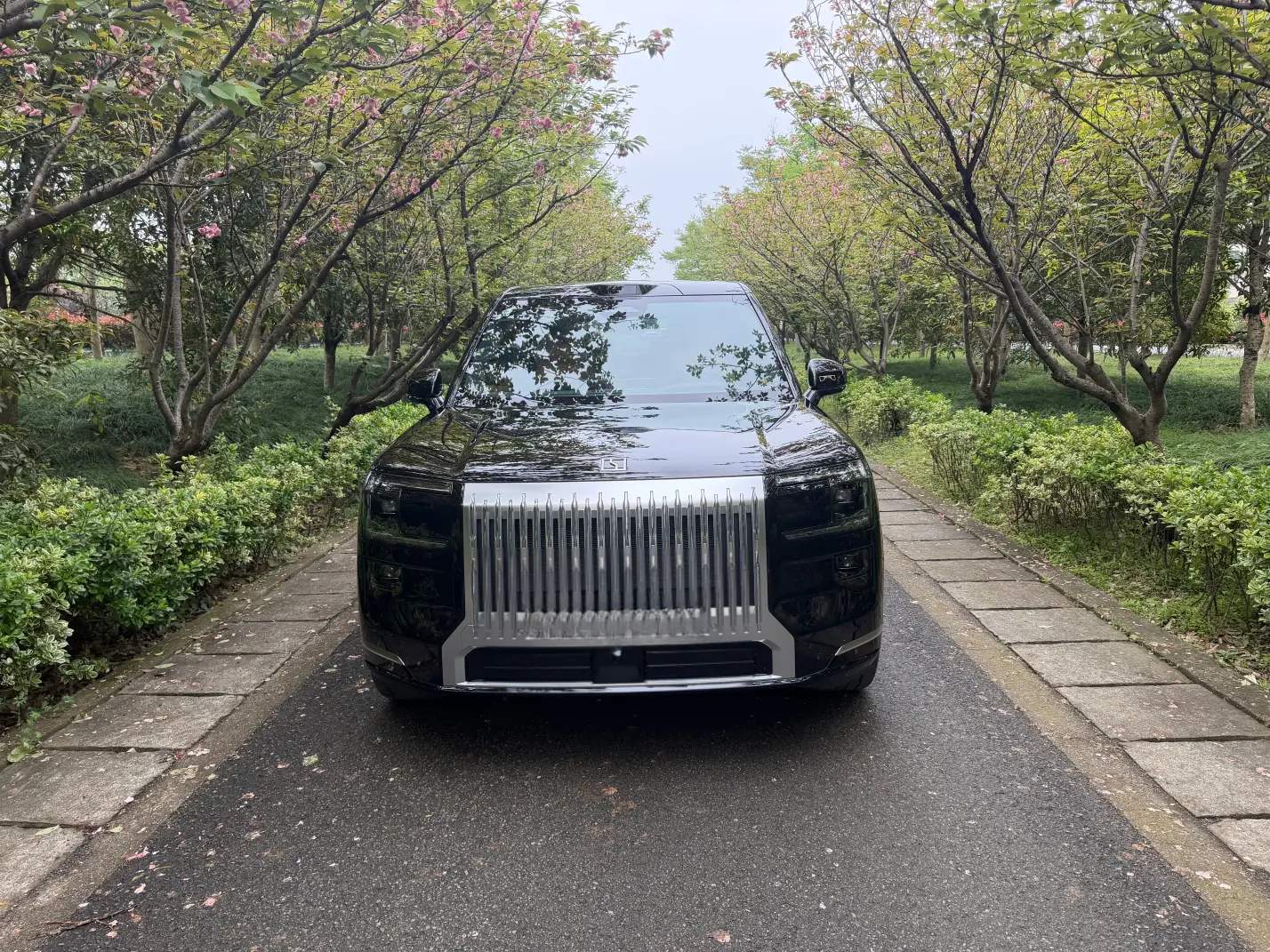 ZEEKR 9X