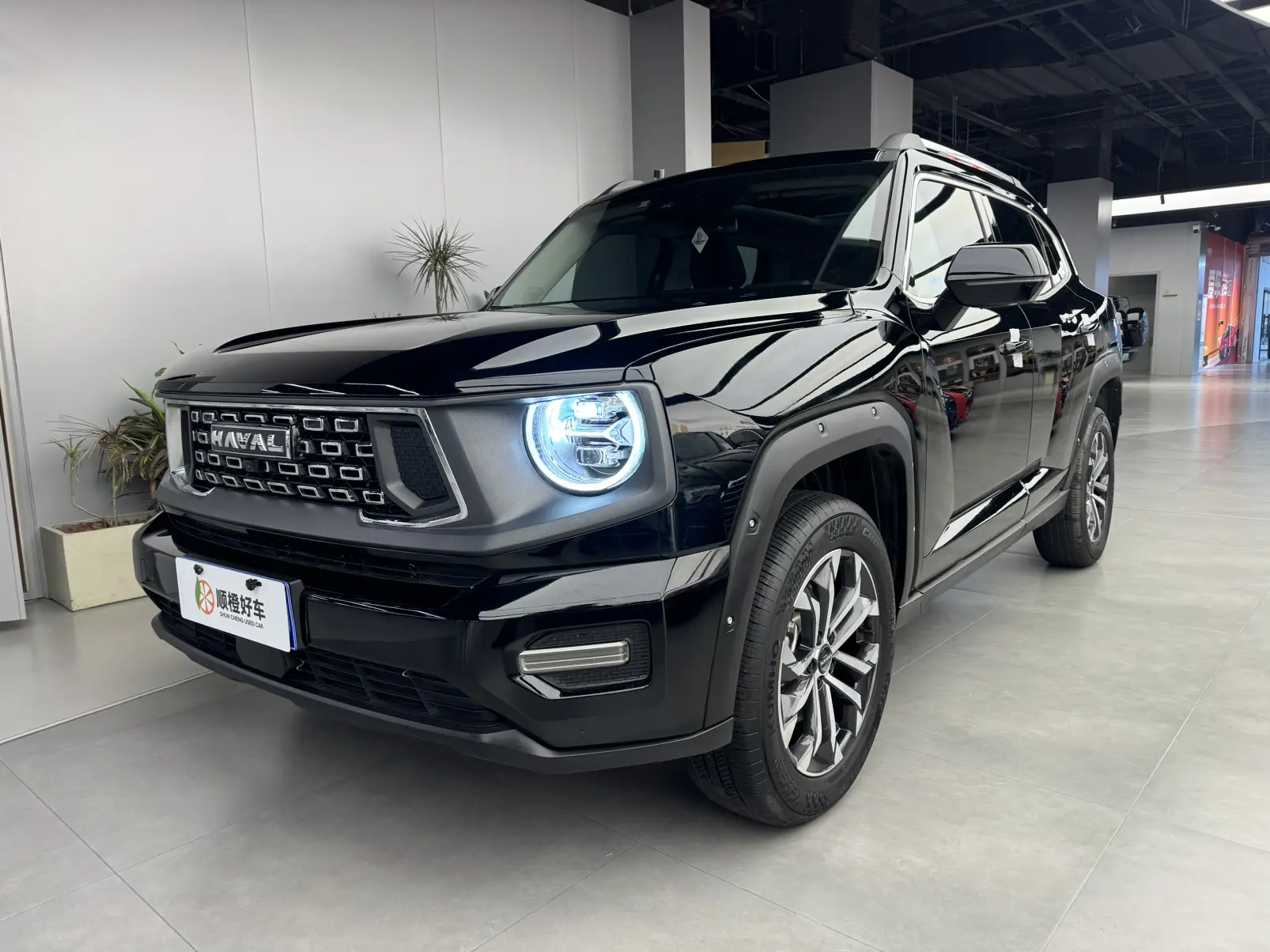 Haval Big Dog PLUS
