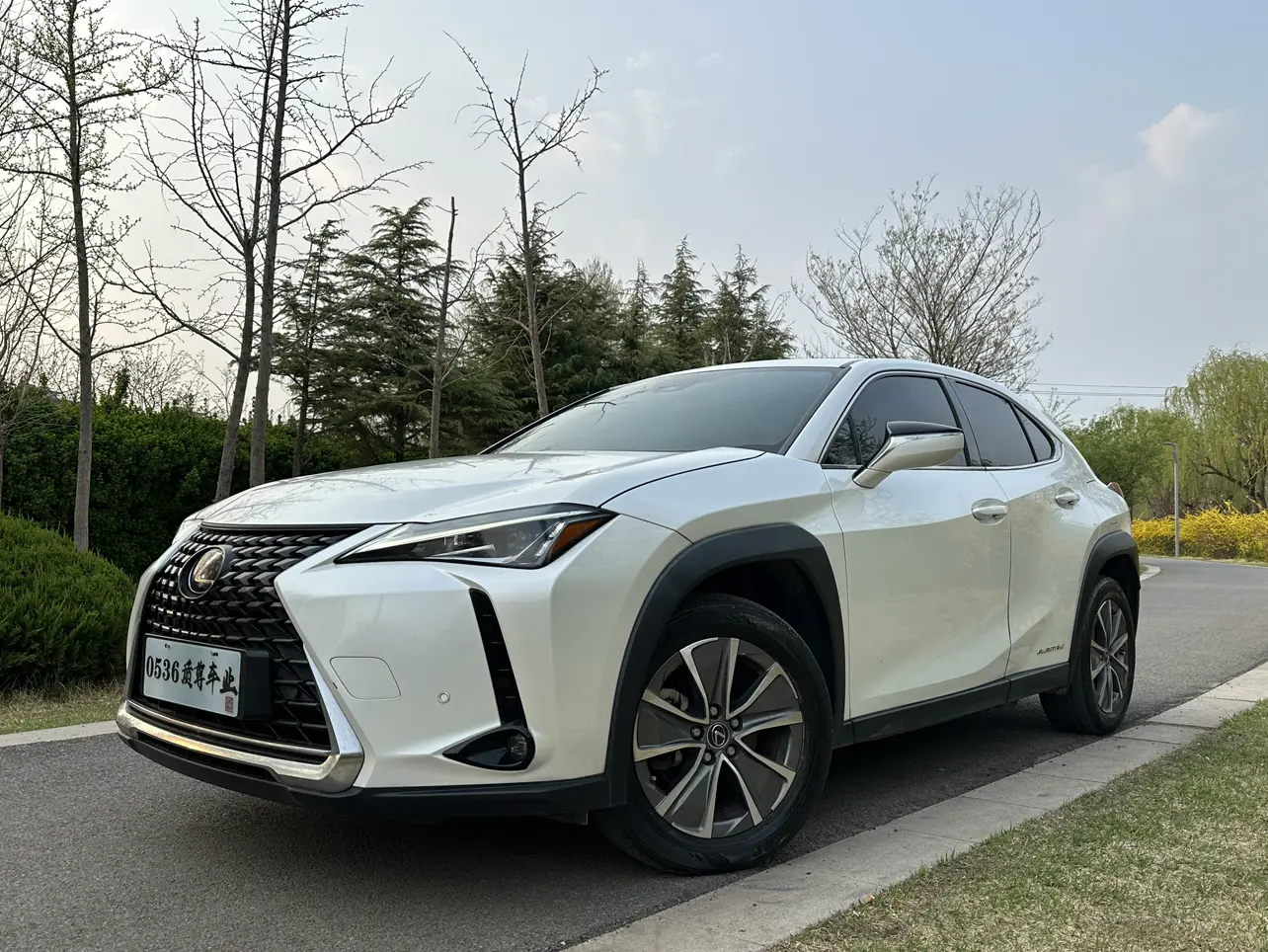 Lexus UX EV