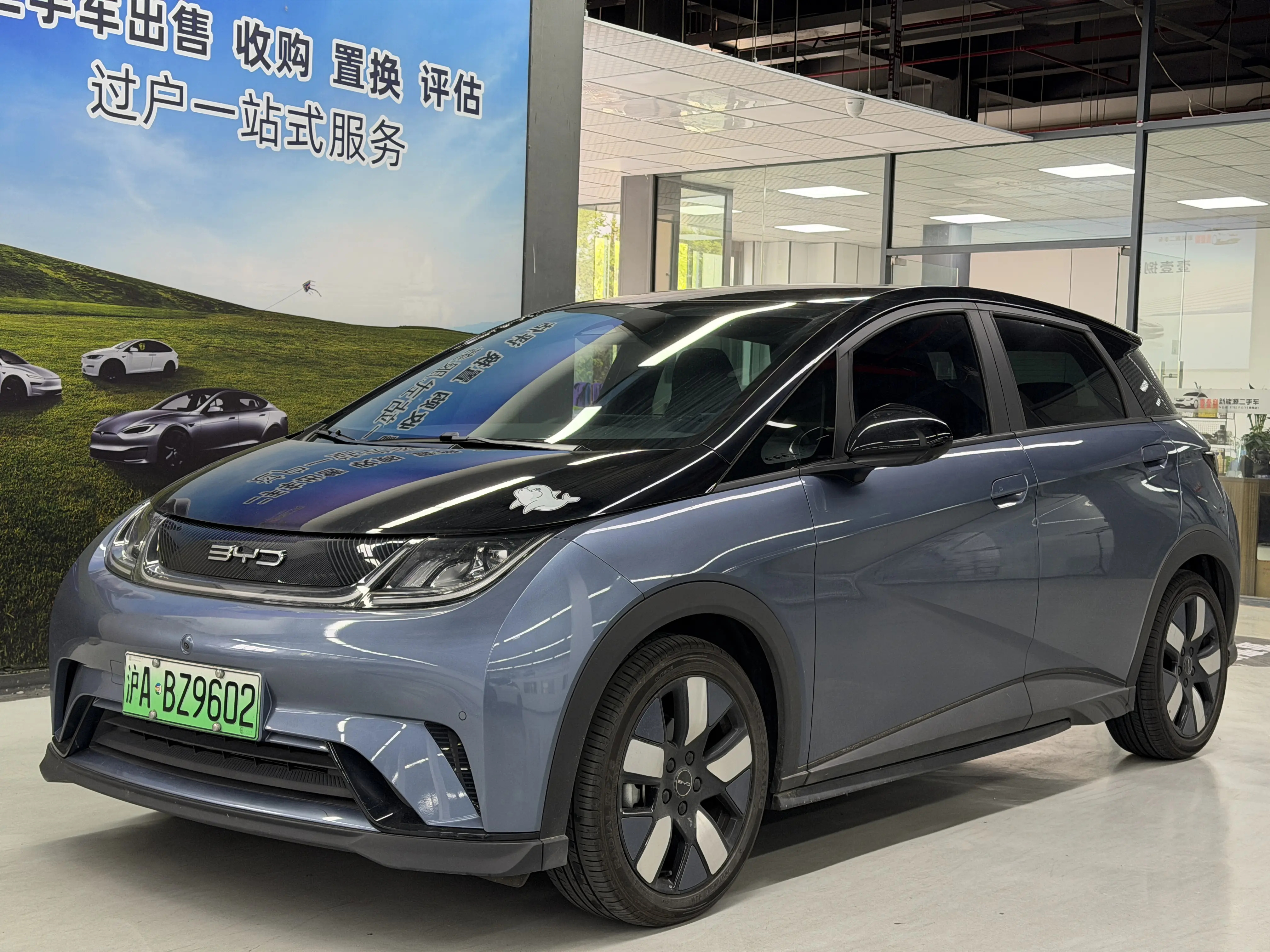 BYD Dolphin