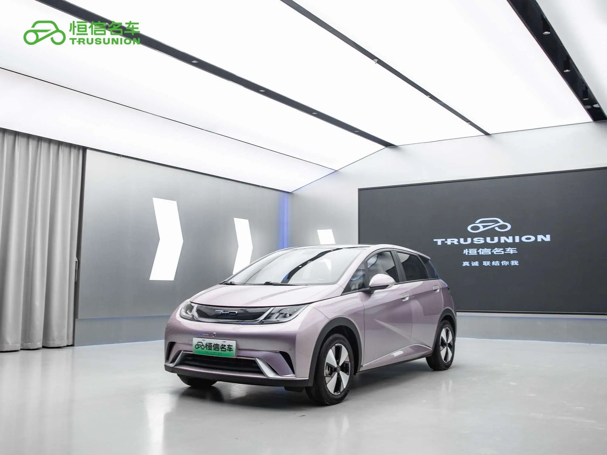 BYD Dolphin