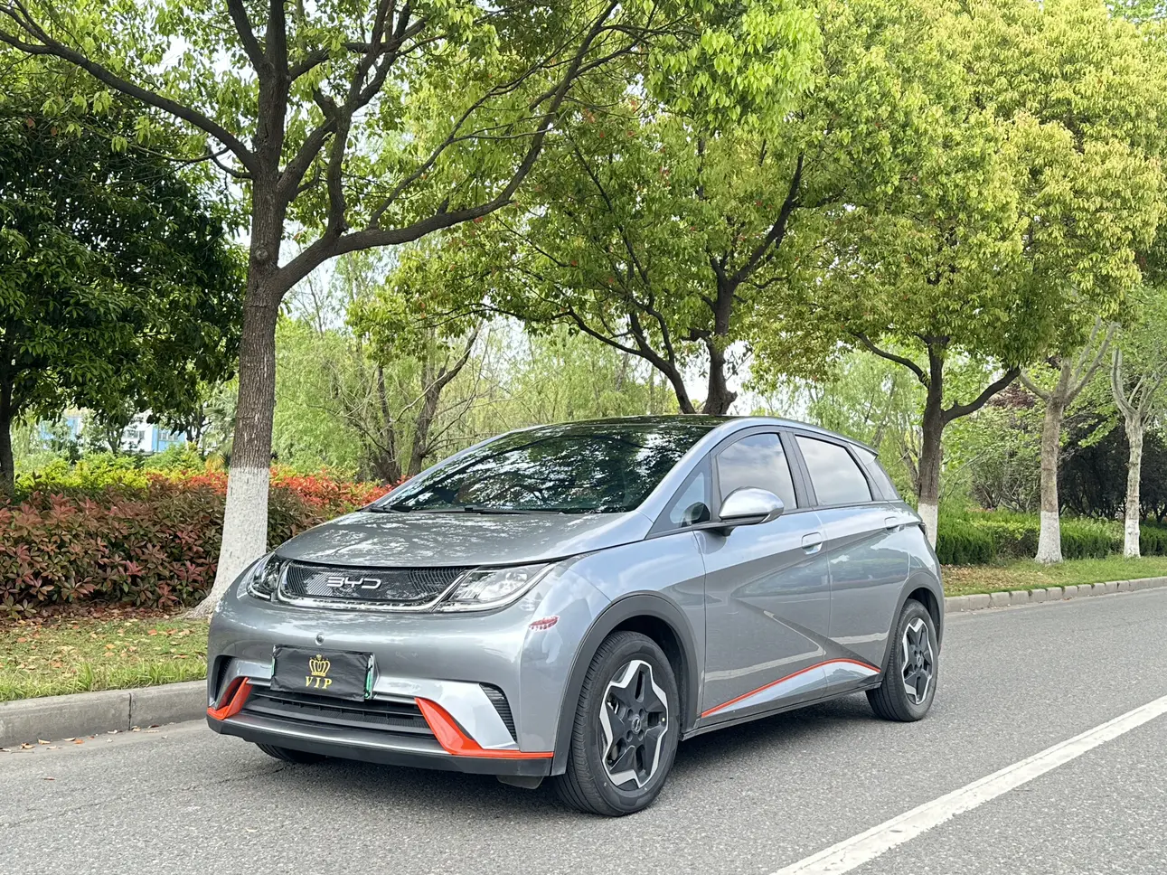 BYD Dolphin