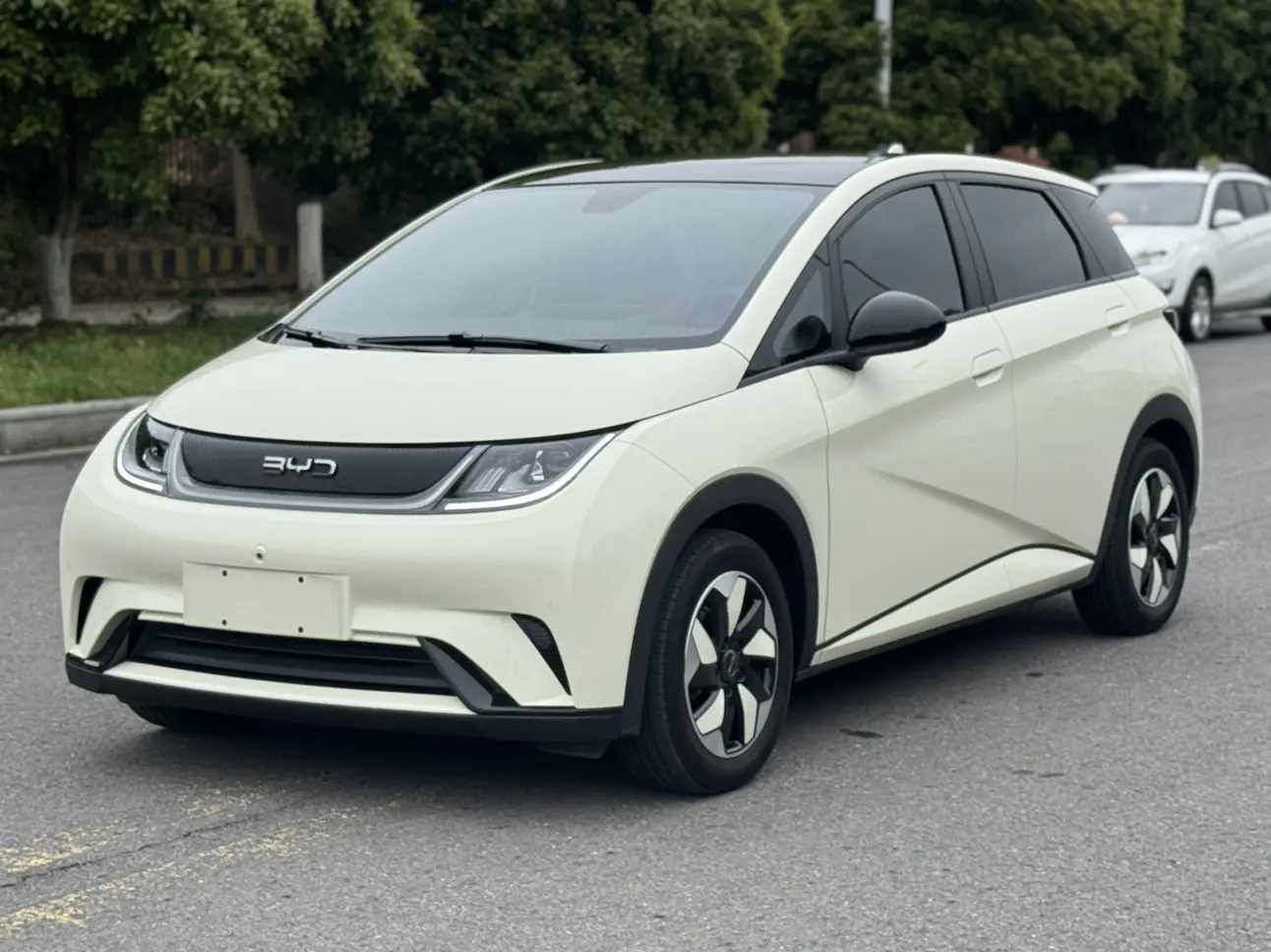 BYD Dolphin
