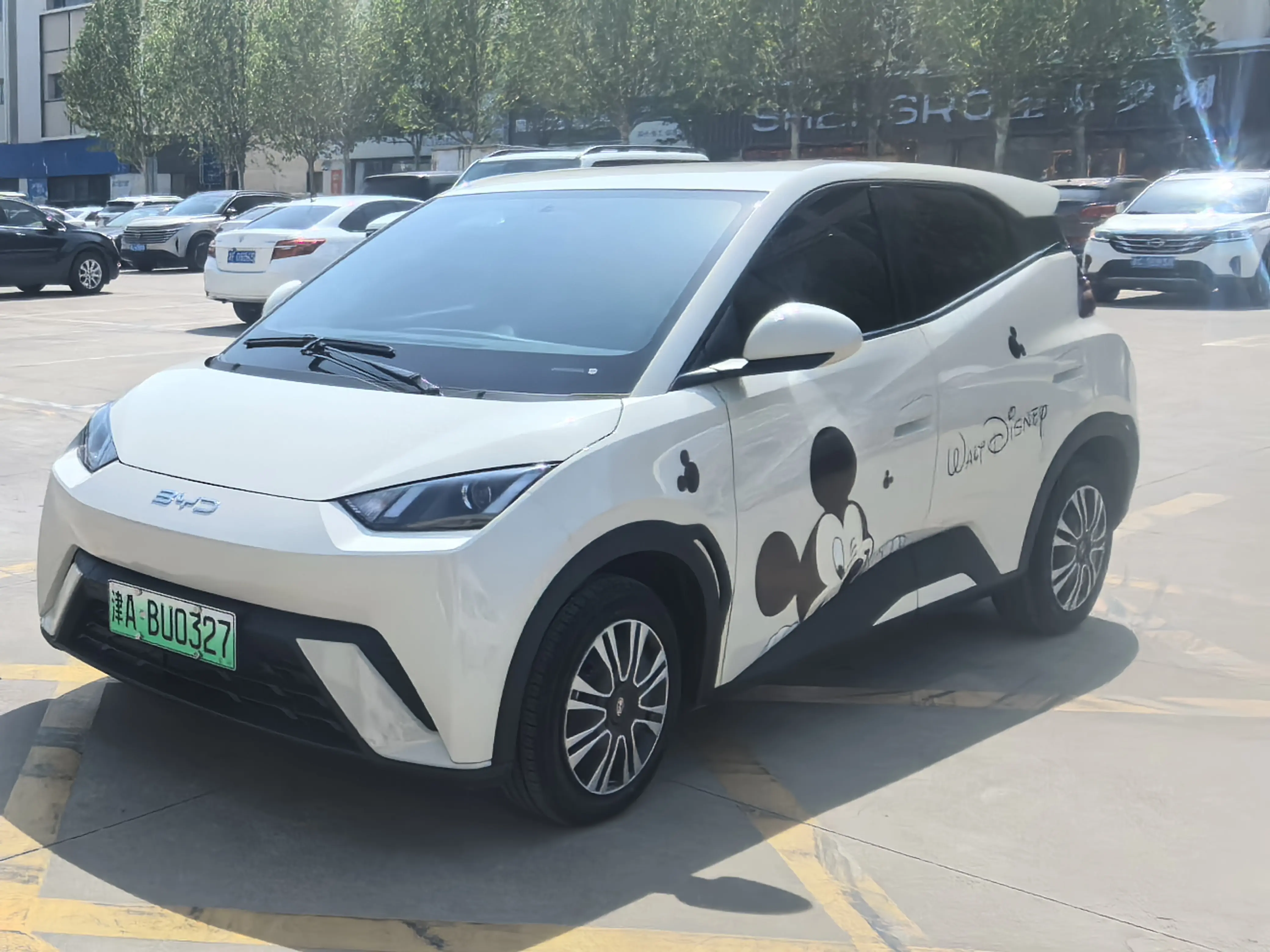 BYD Seagull