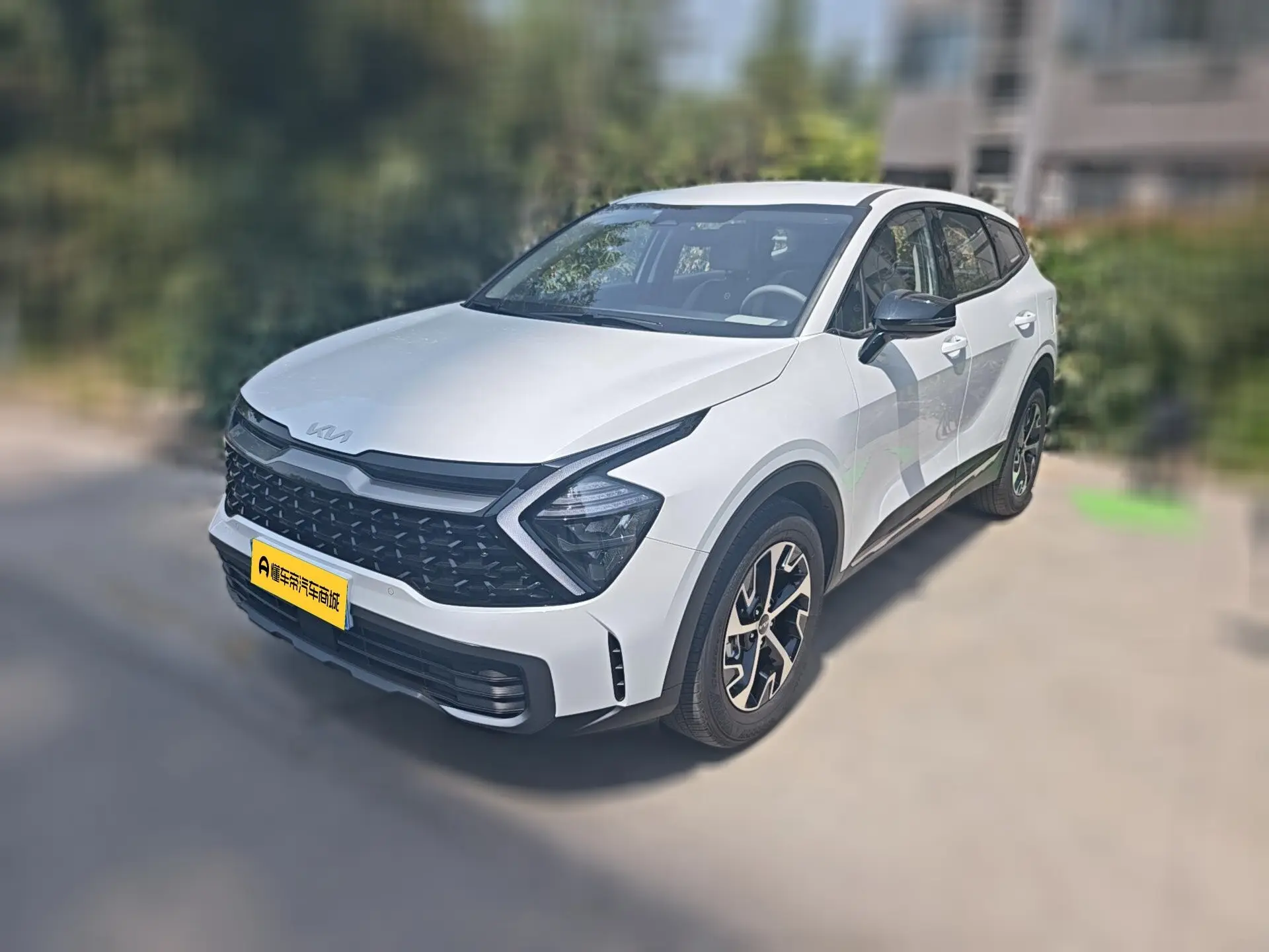 Kia Lion Platinum Expands the Boundary
