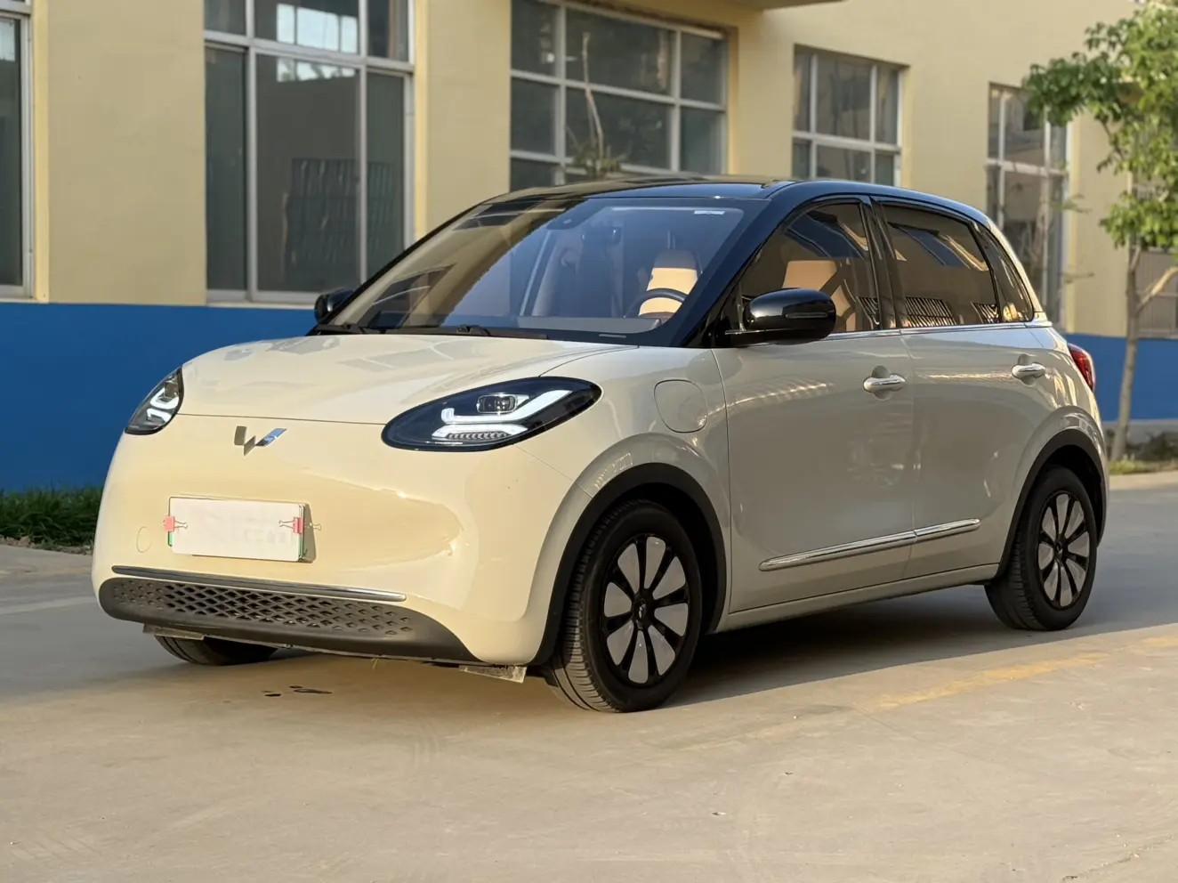 Wuling Bingo