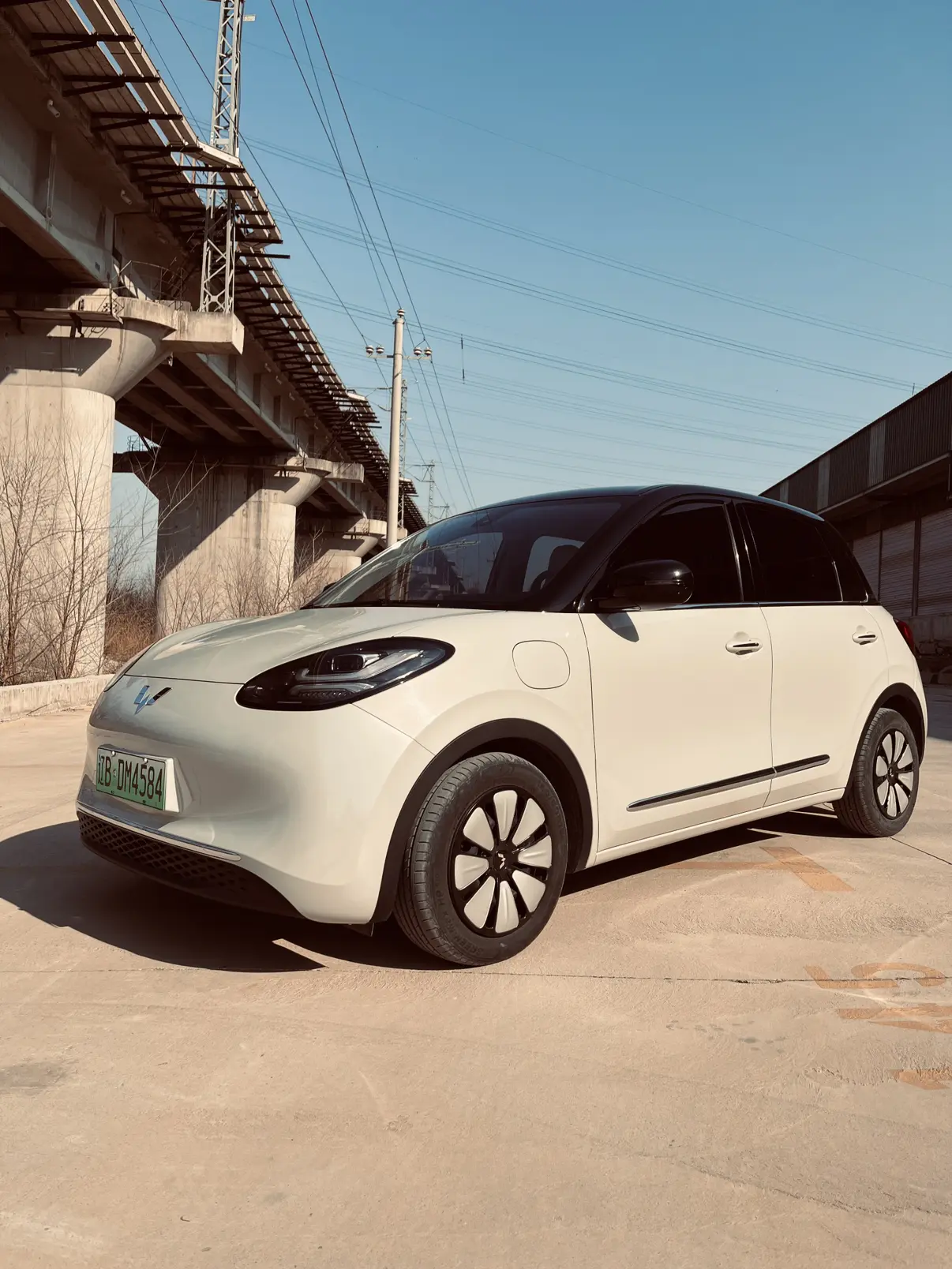 Wuling Bingo