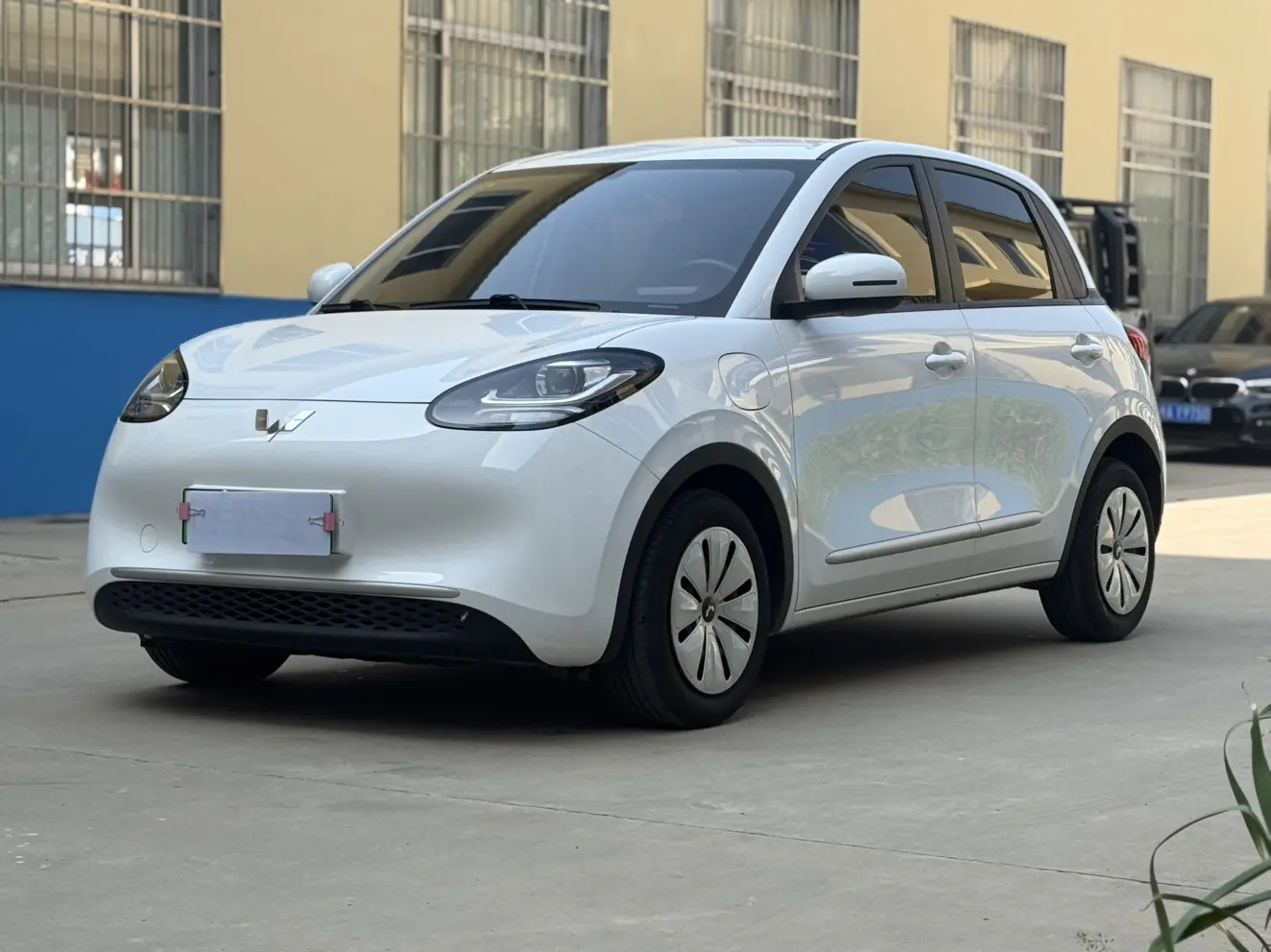 Wuling Bingo