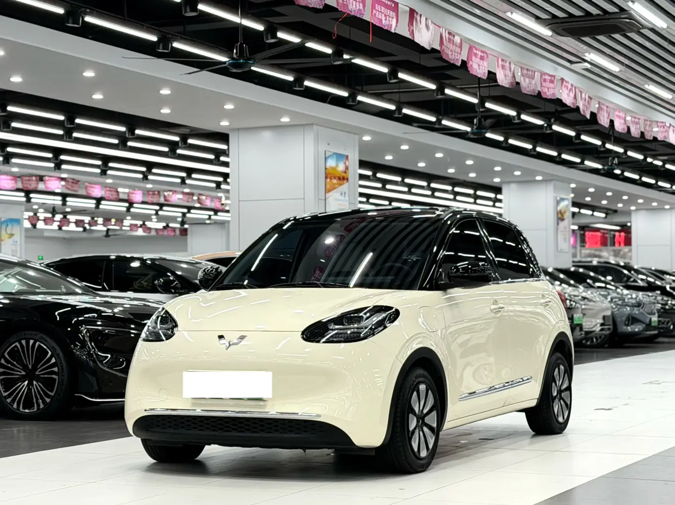Wuling Bingo