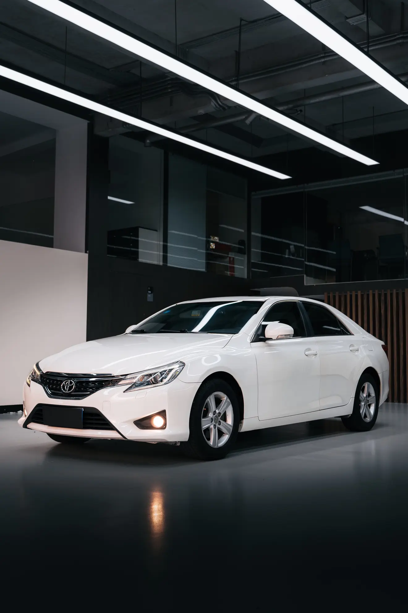 Toyota Ruizhi