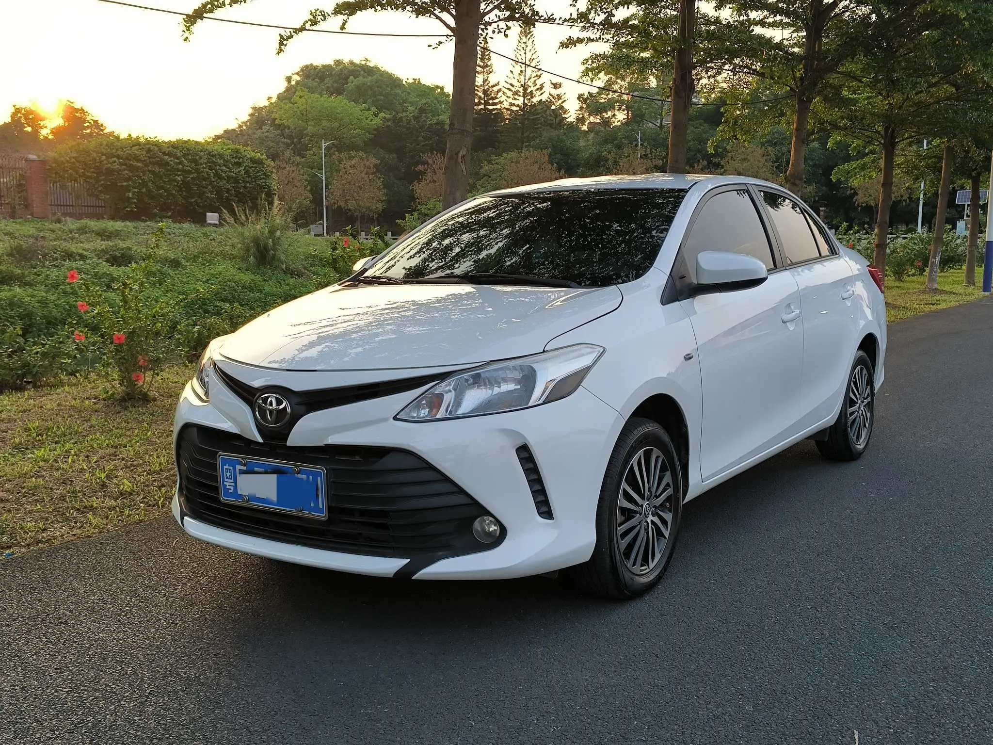 Toyota Vios