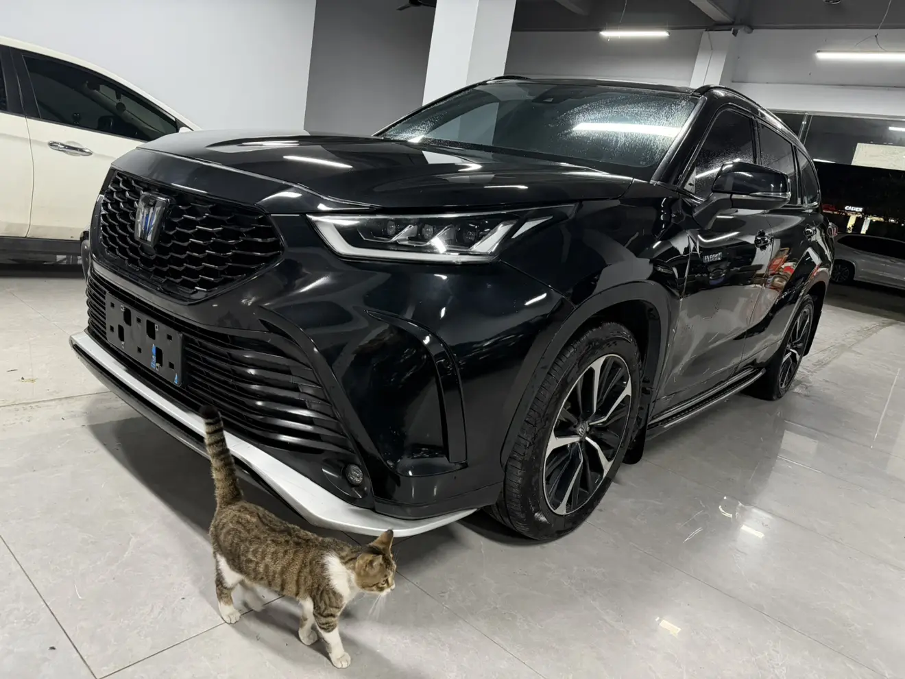 Toyota Crown Kluger