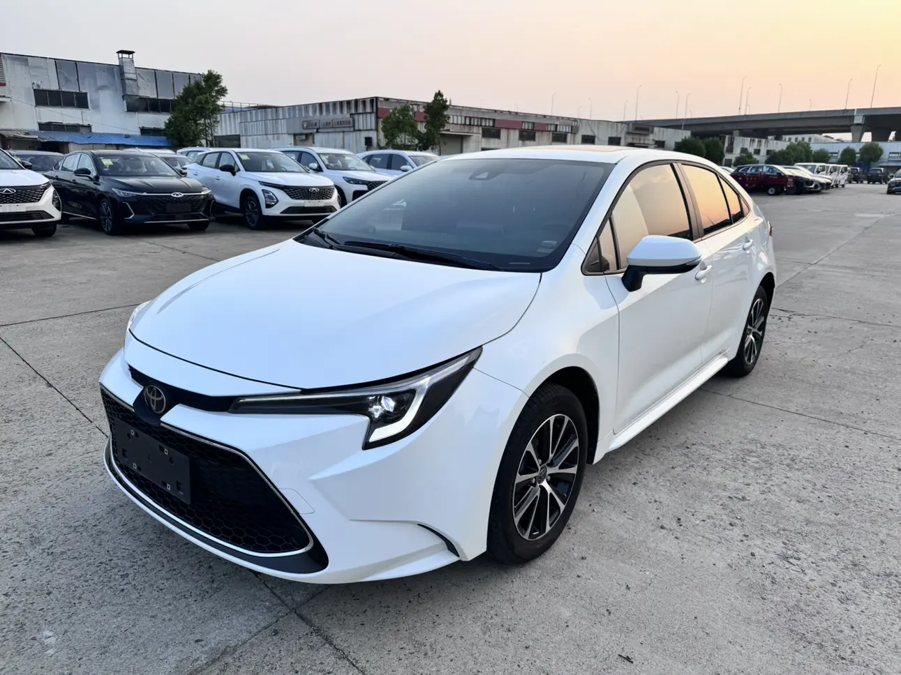 Toyota Levin