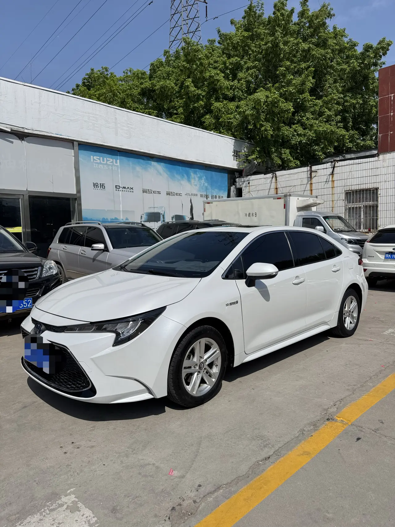 Toyota Levin
