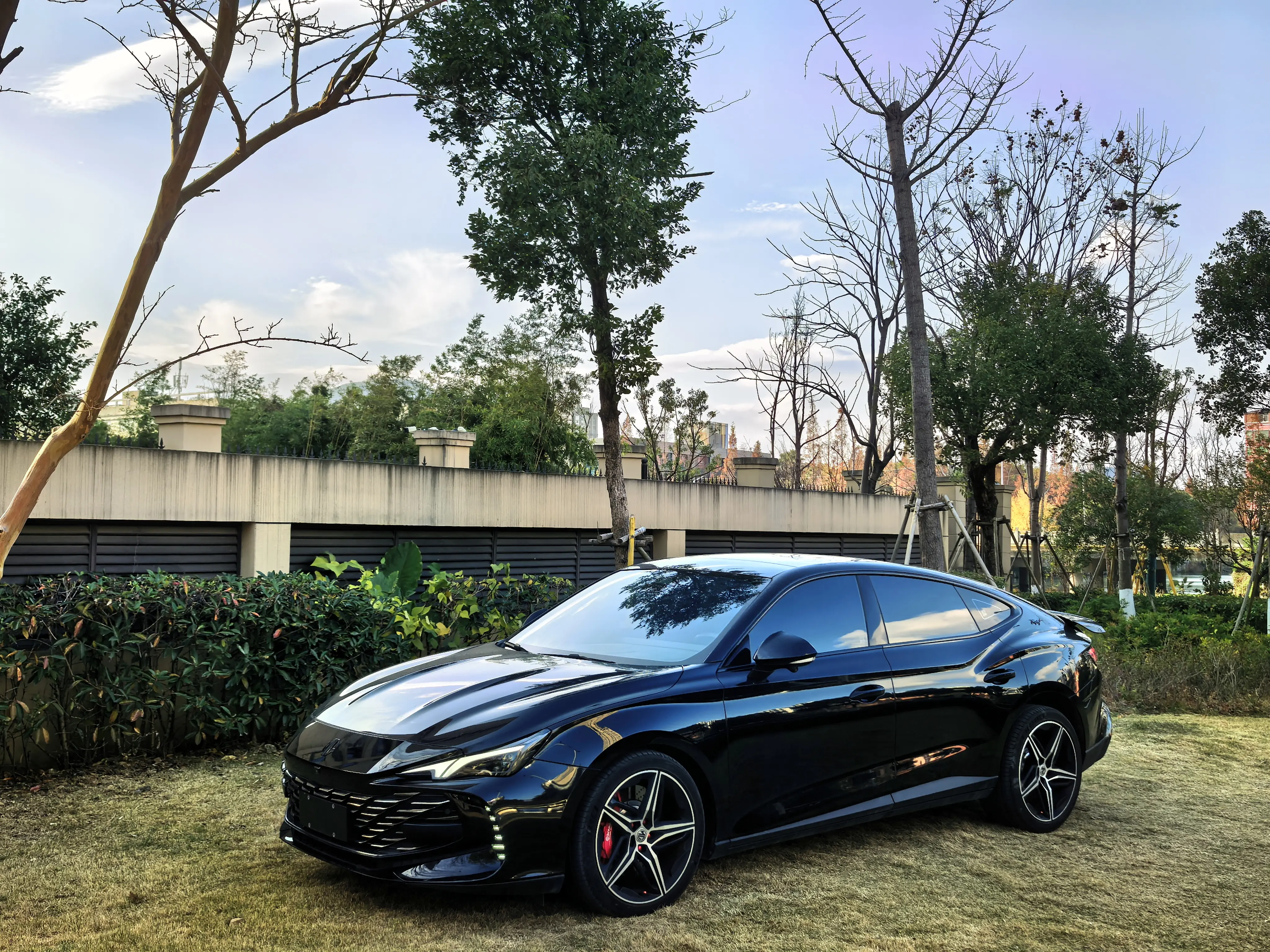 MG 7