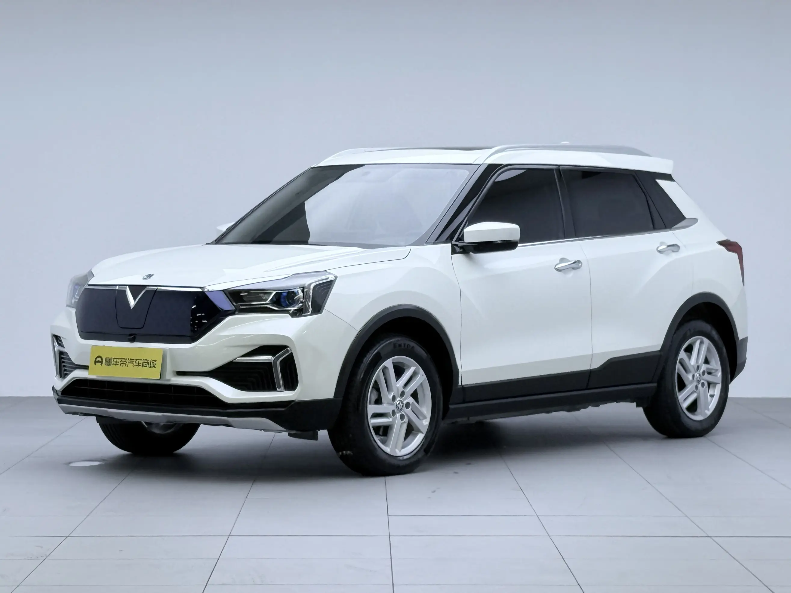 Kai Chen Venucia T60 EV