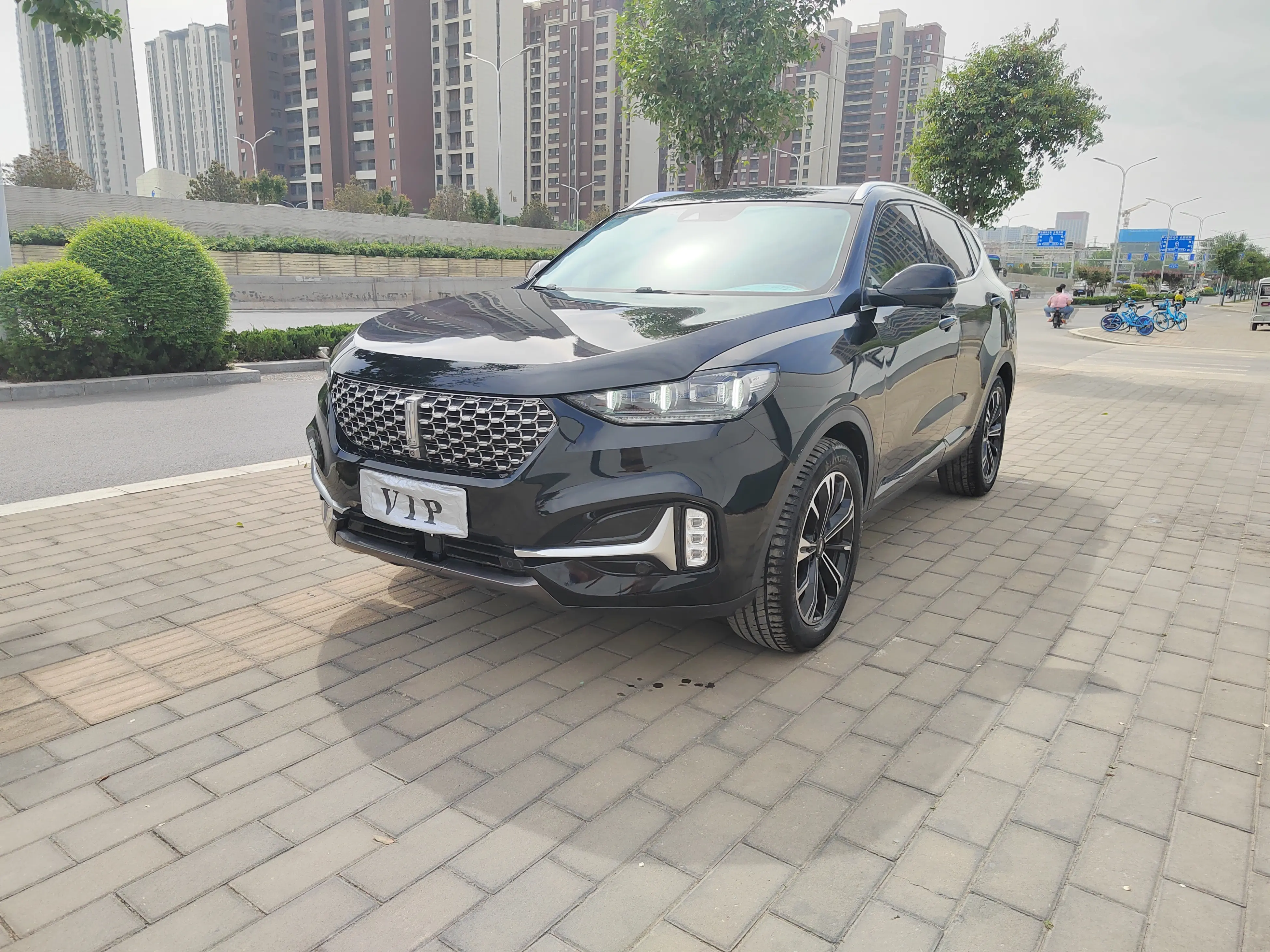 Wey Wei brand VV6