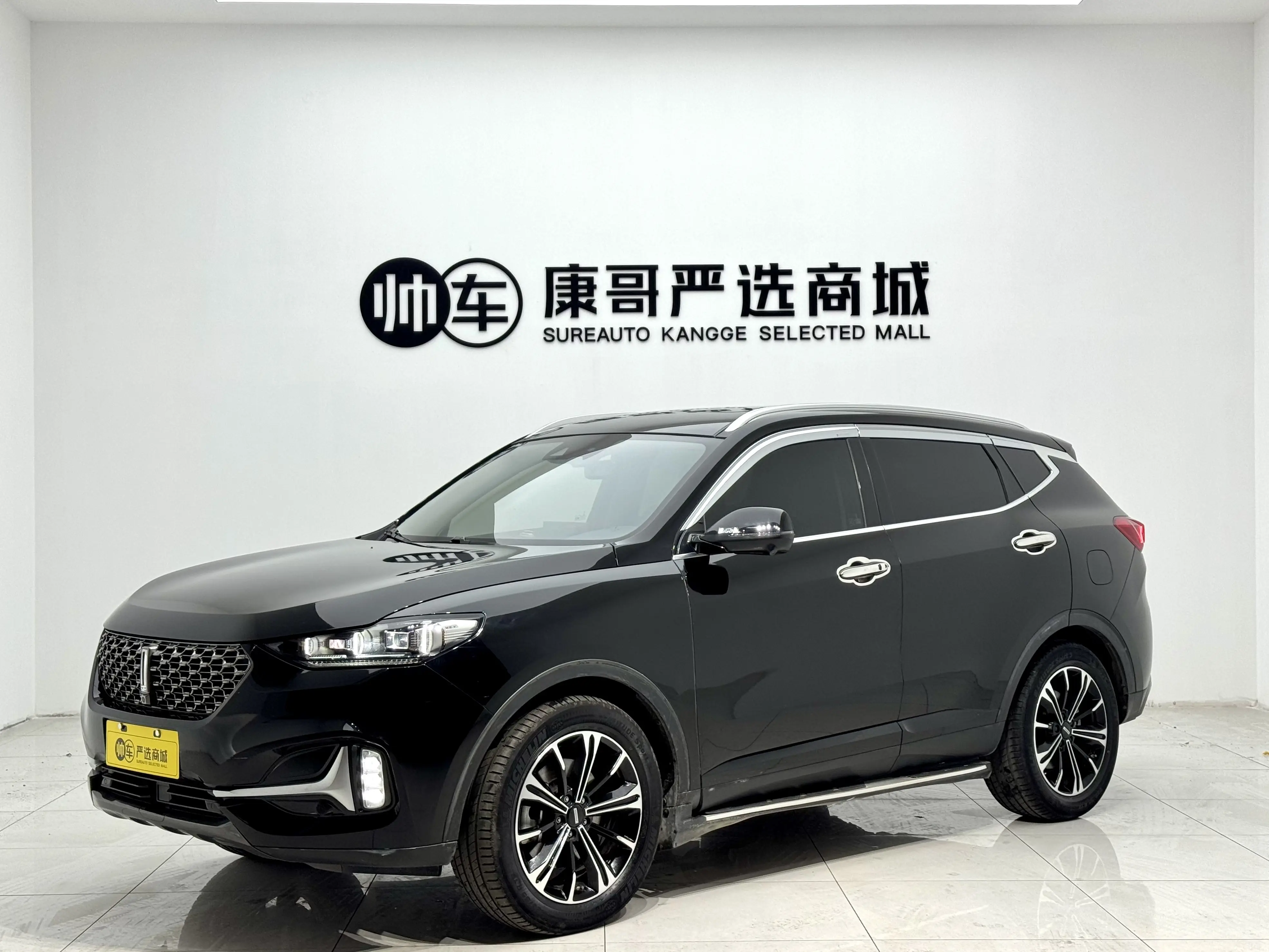 Wey Wei brand VV6
