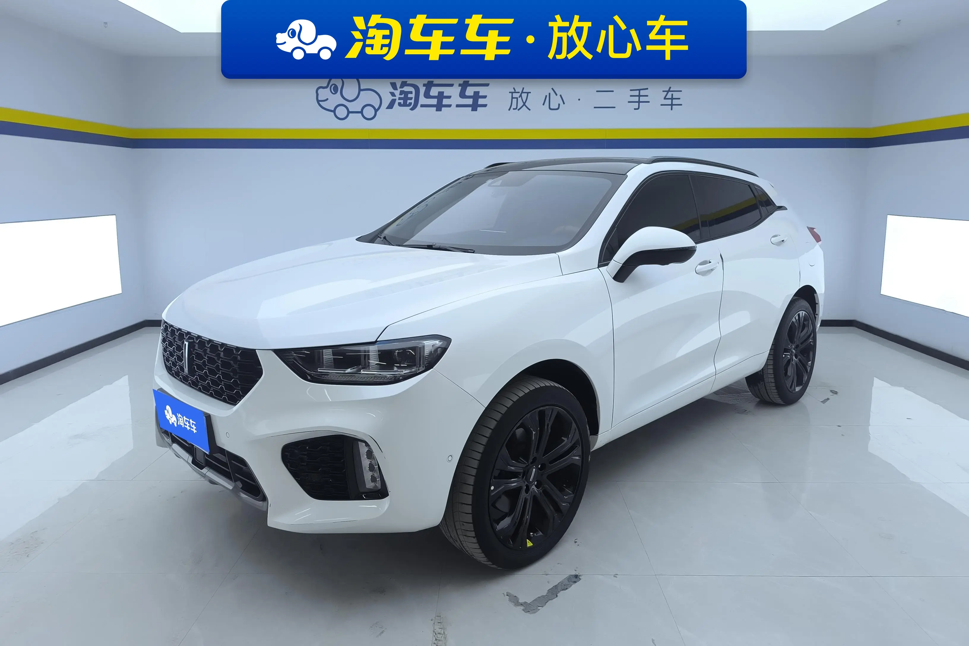 Wey Wei brand VV5