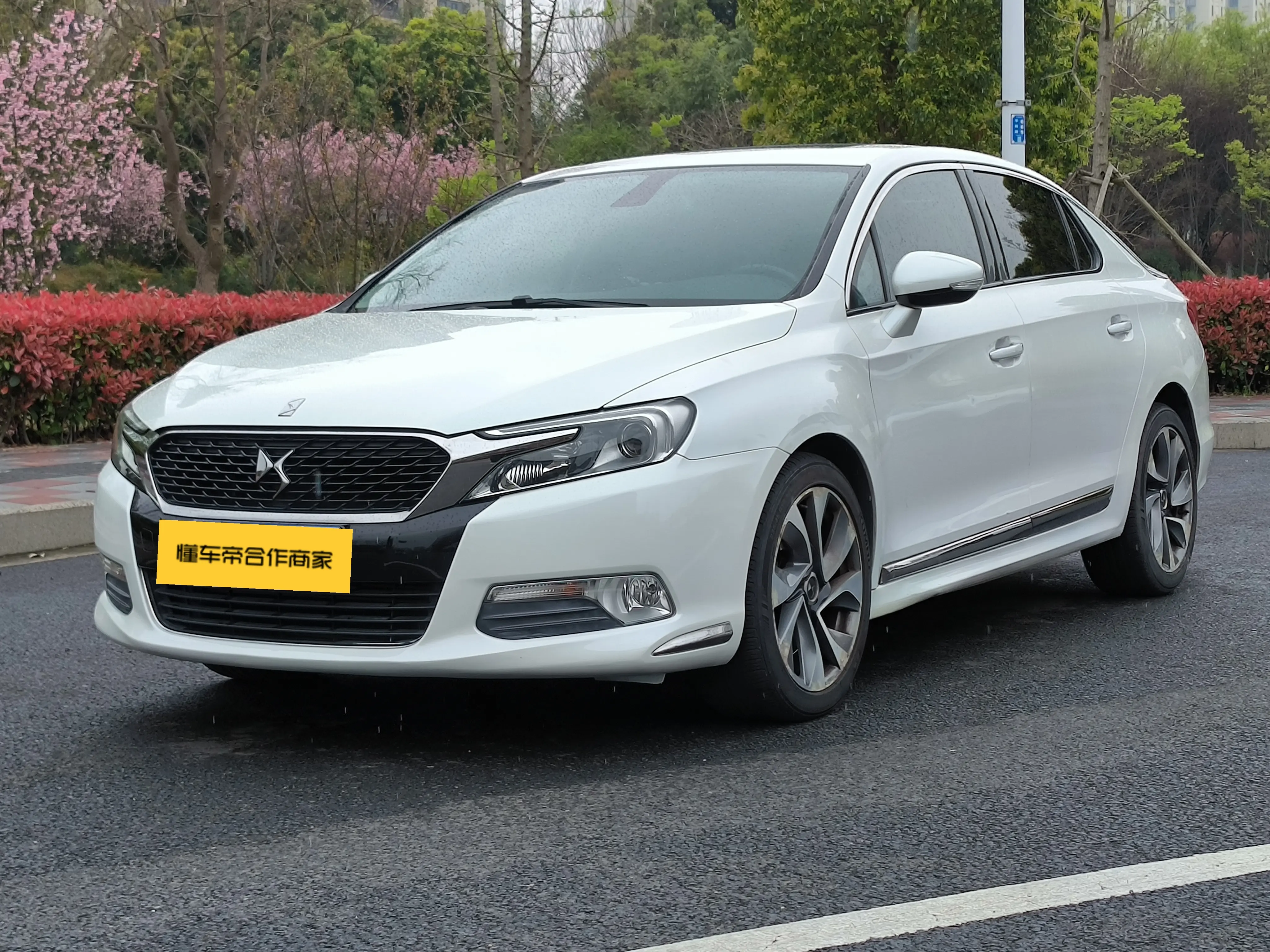 DS 5LS