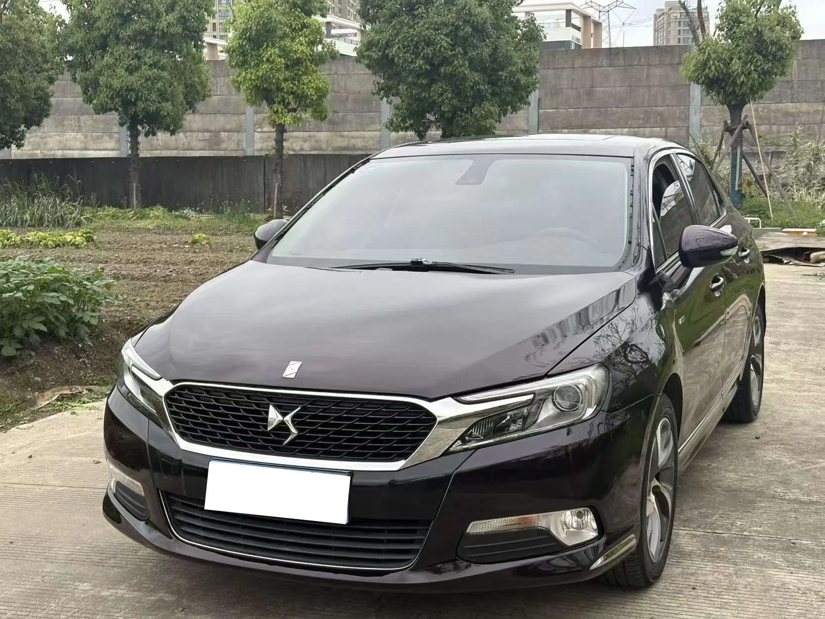 DS 5LS