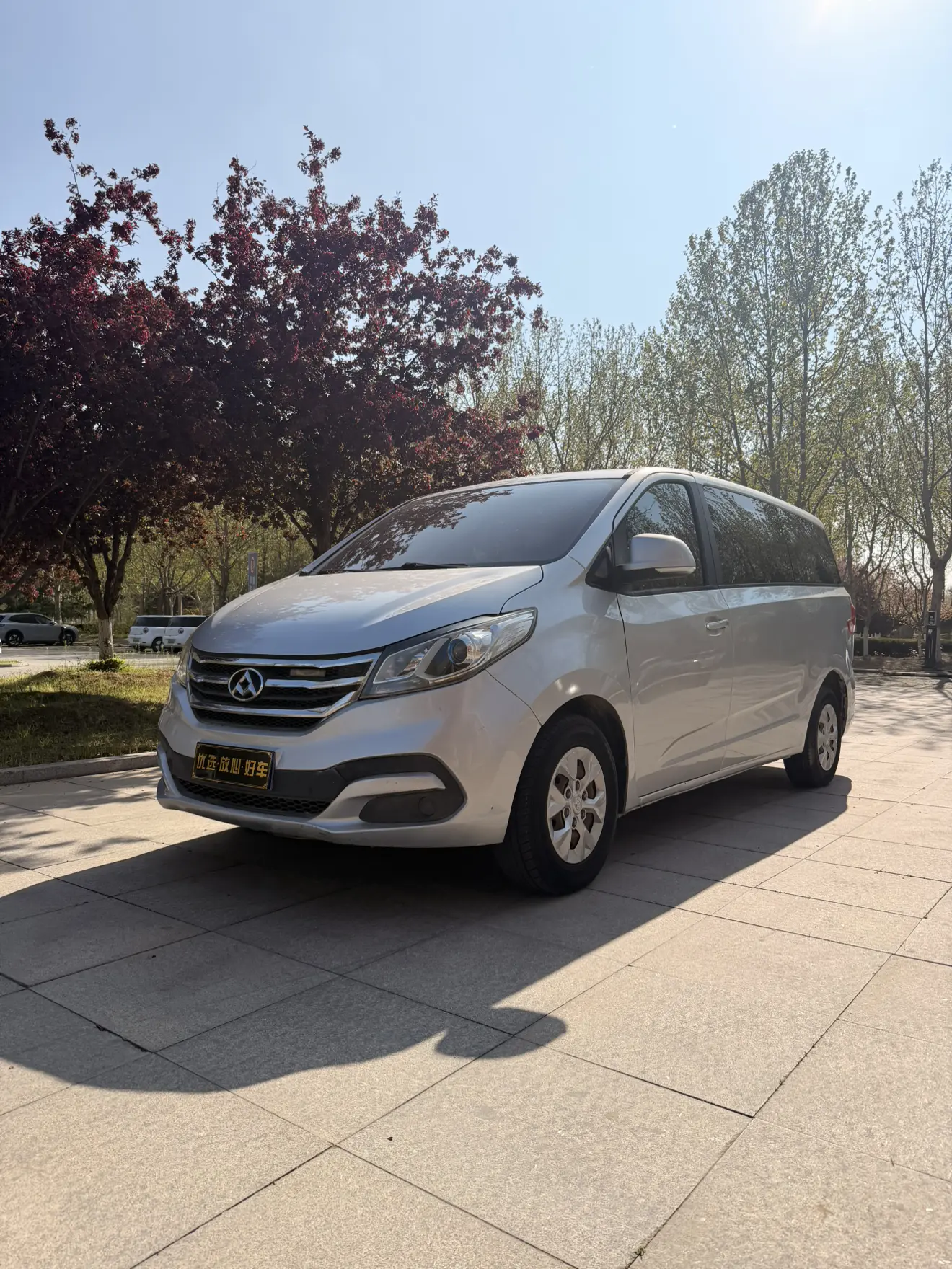 Datong Maxus G10