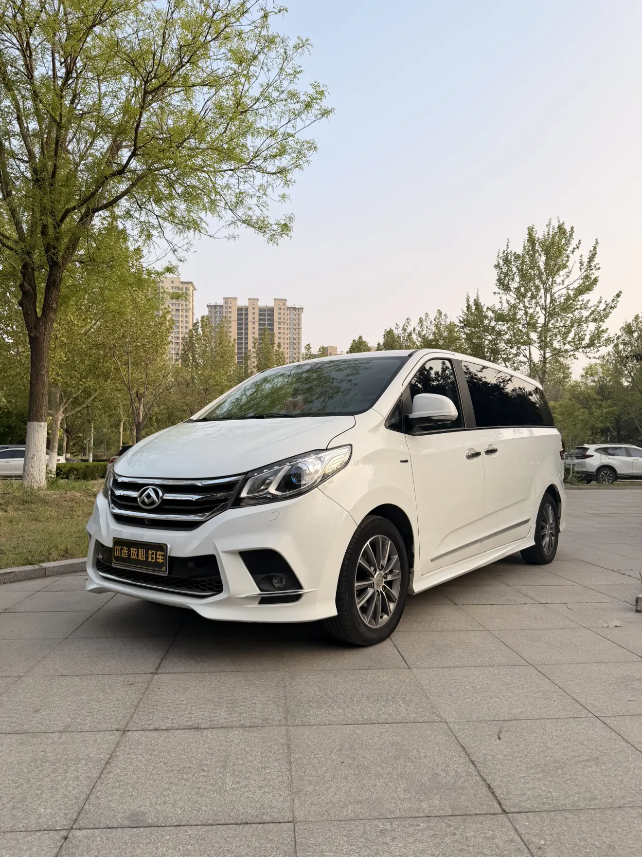 Datong Maxus G10