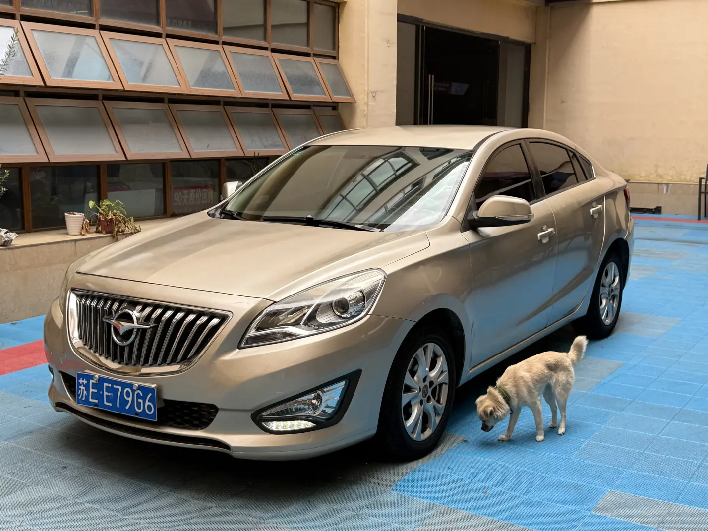 HAIMA Familia