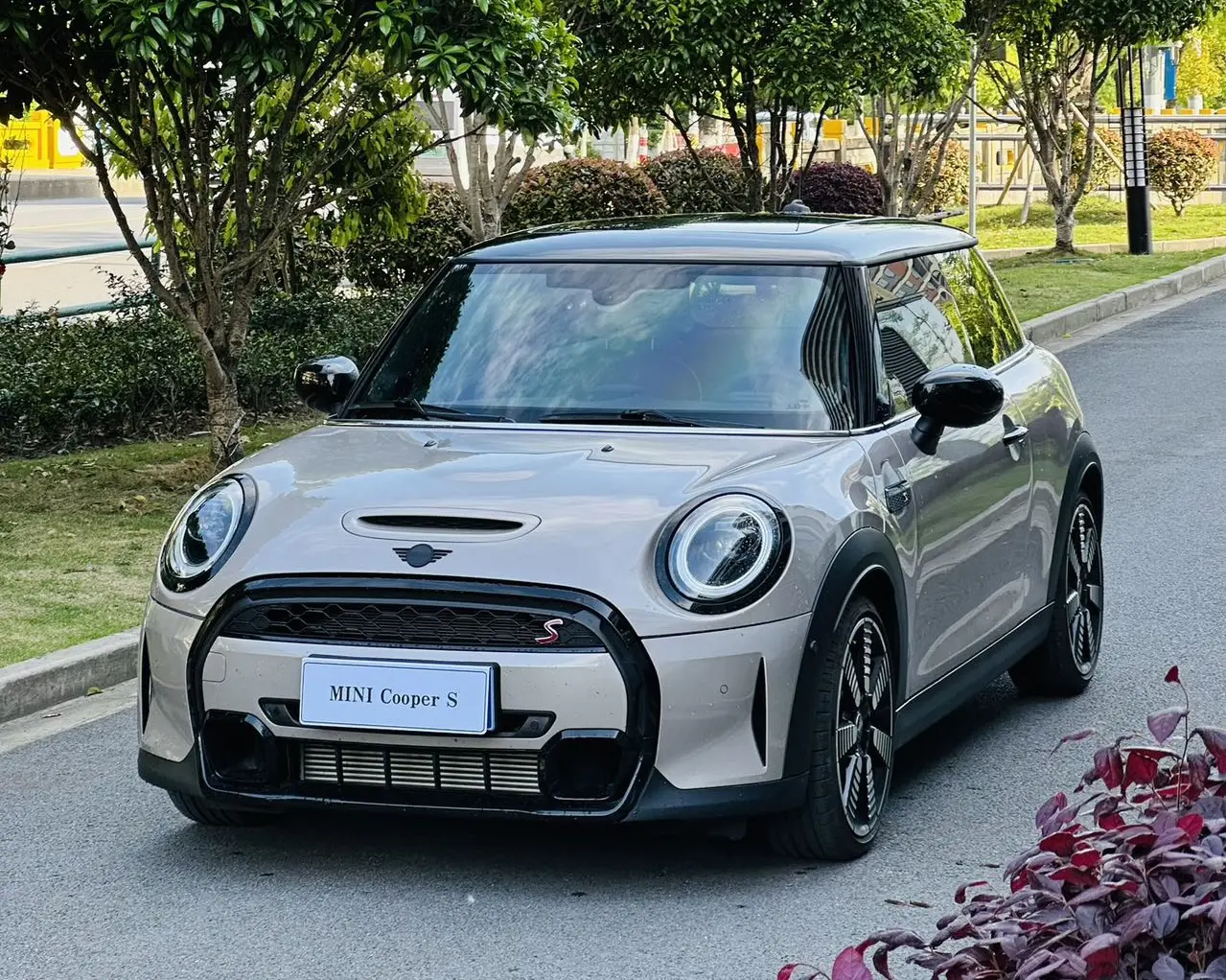 MINI MINI