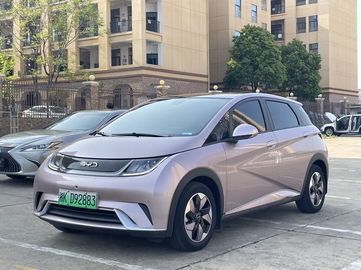 BYD Dolphin