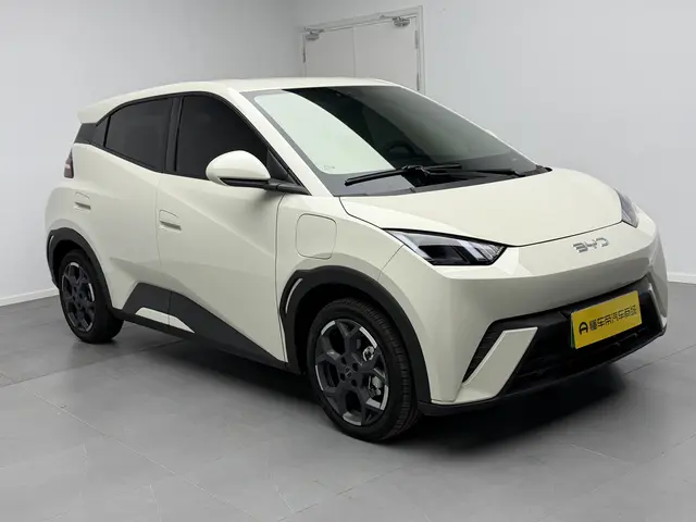 BYD Seagull