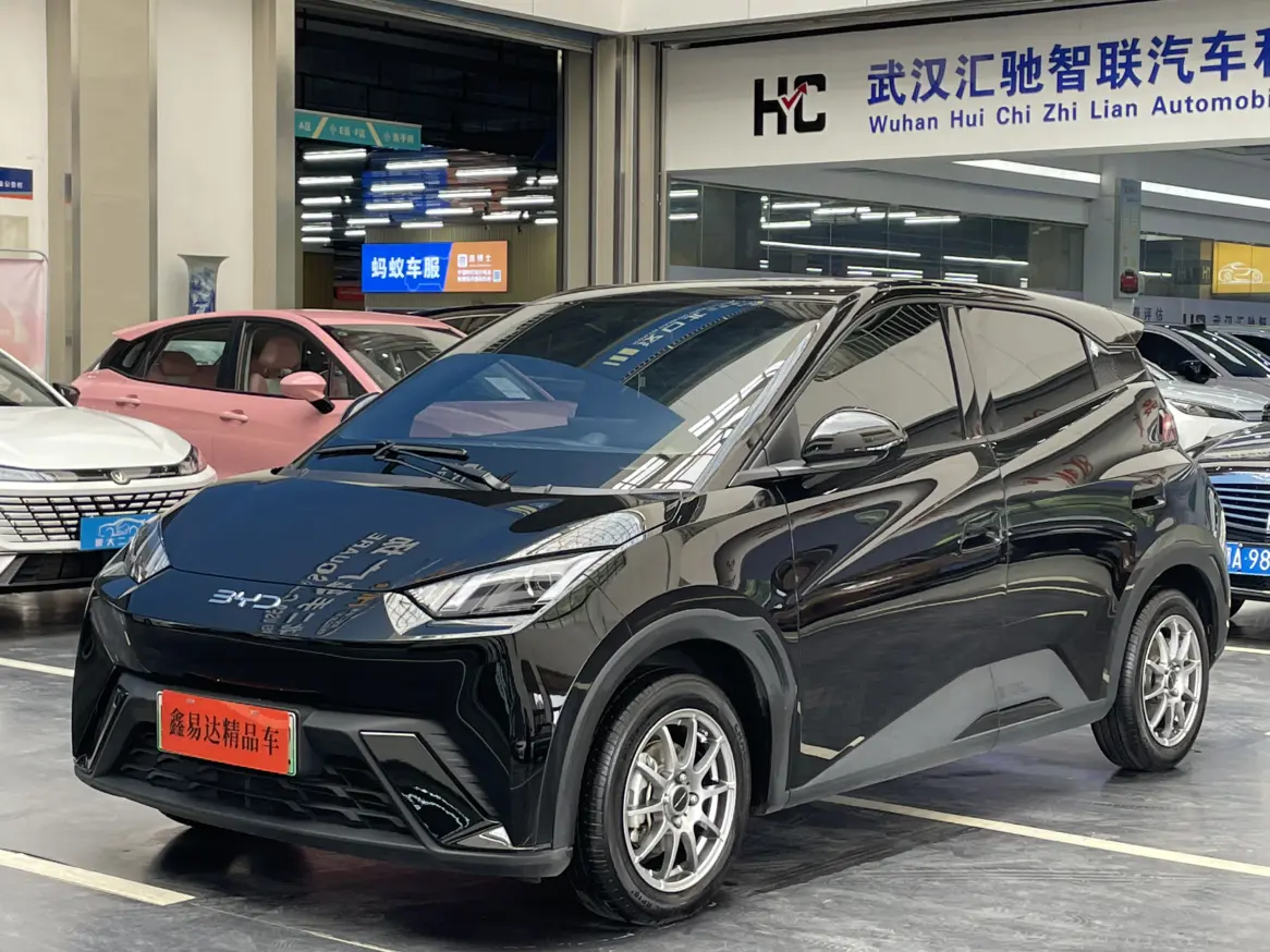 BYD Seagull