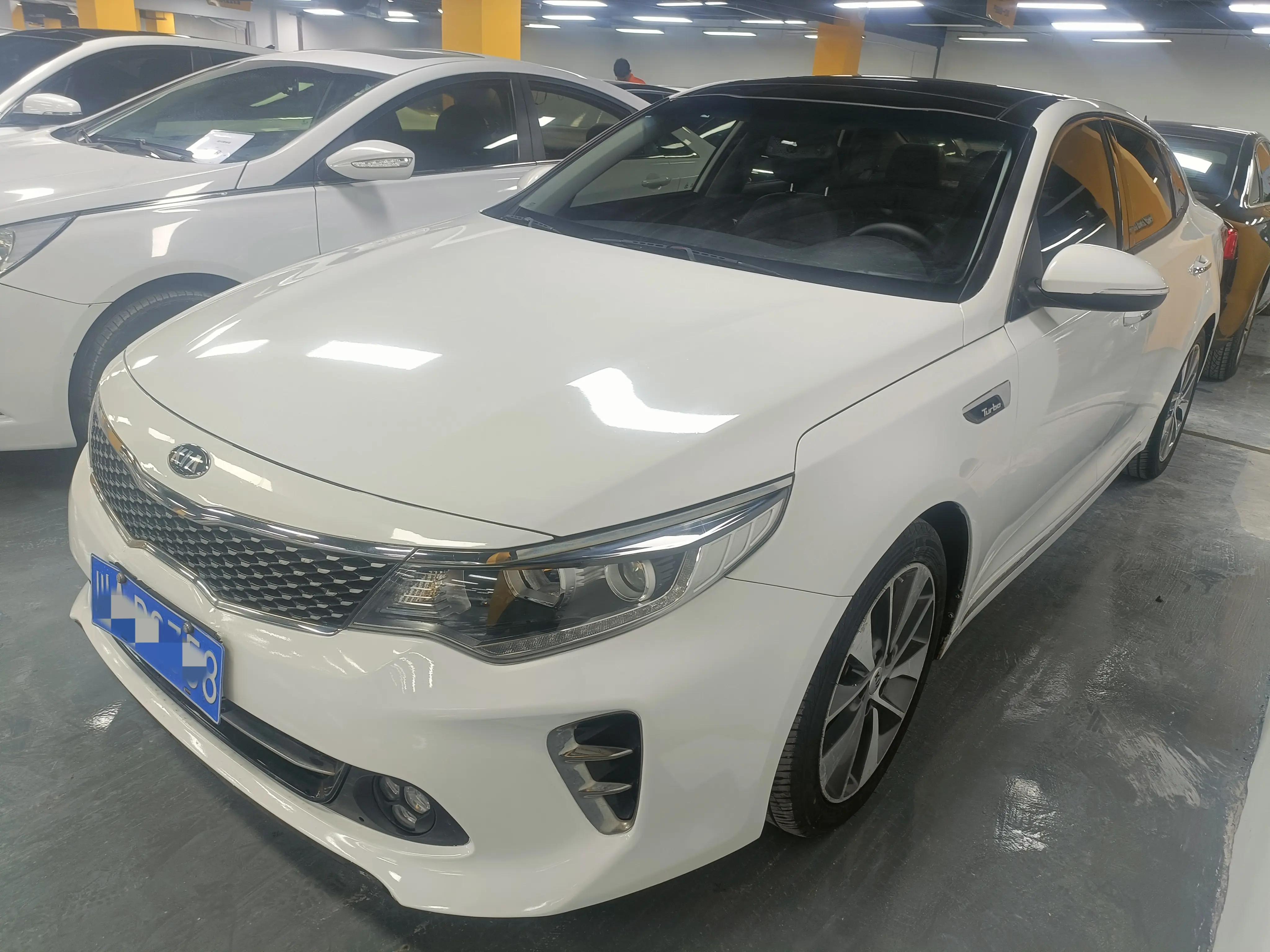 Kia K5