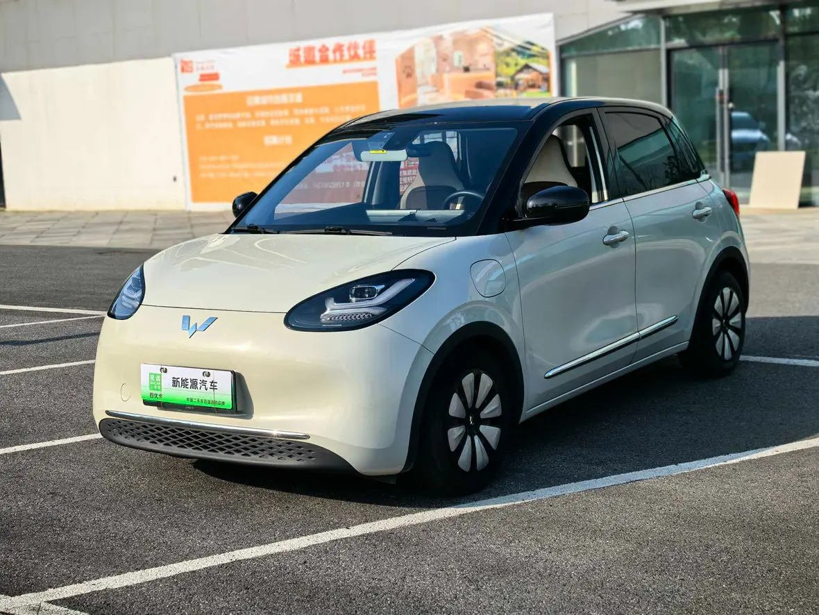 Wuling Bingo