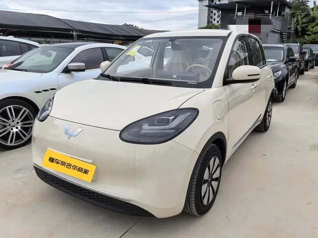 Wuling Bingo