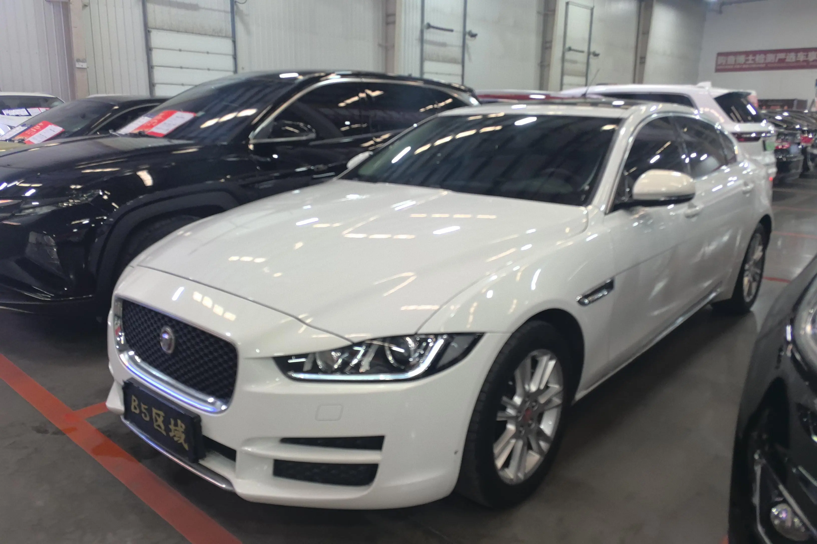 Jaguar XEL