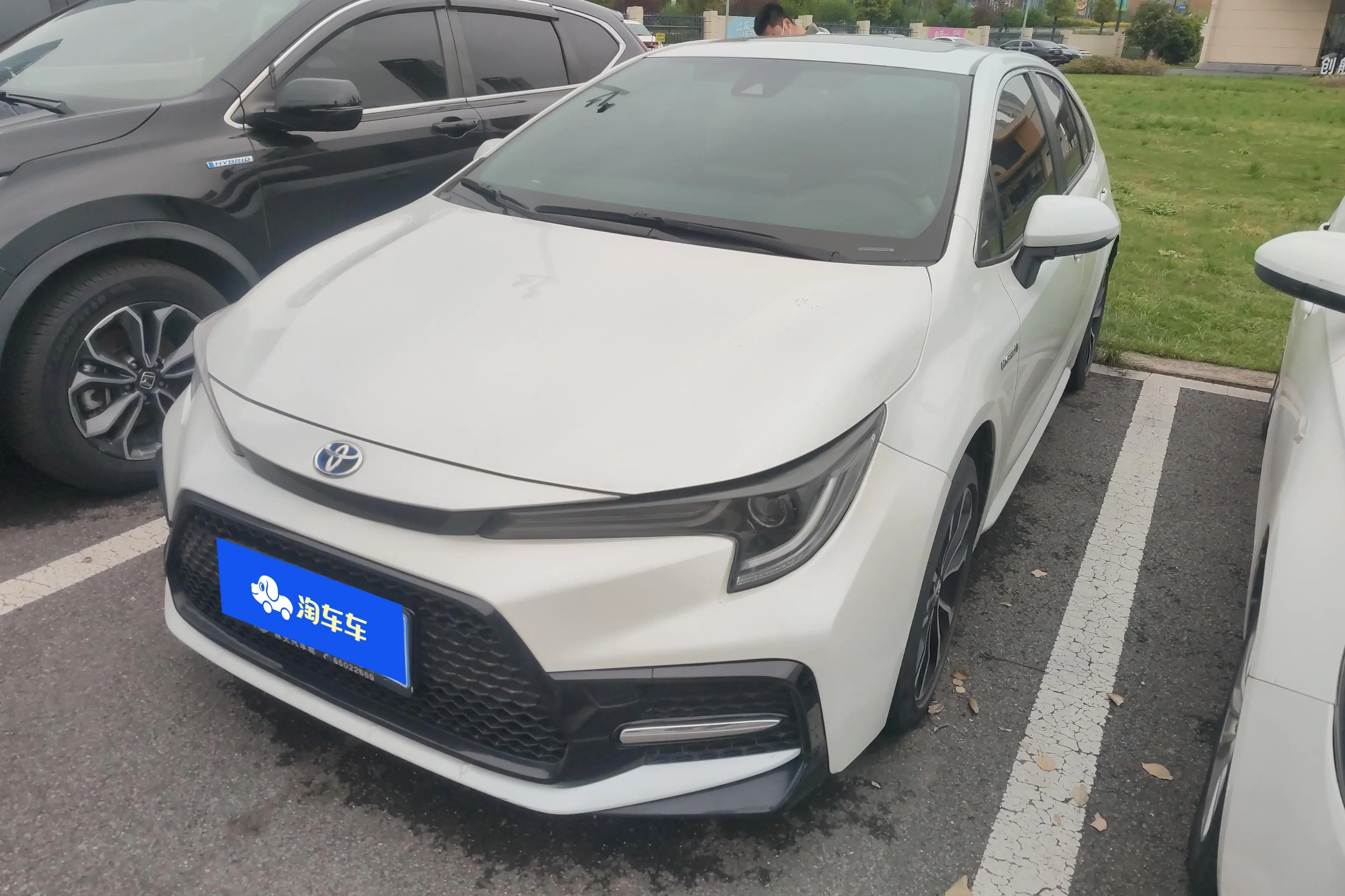 Toyota Levin