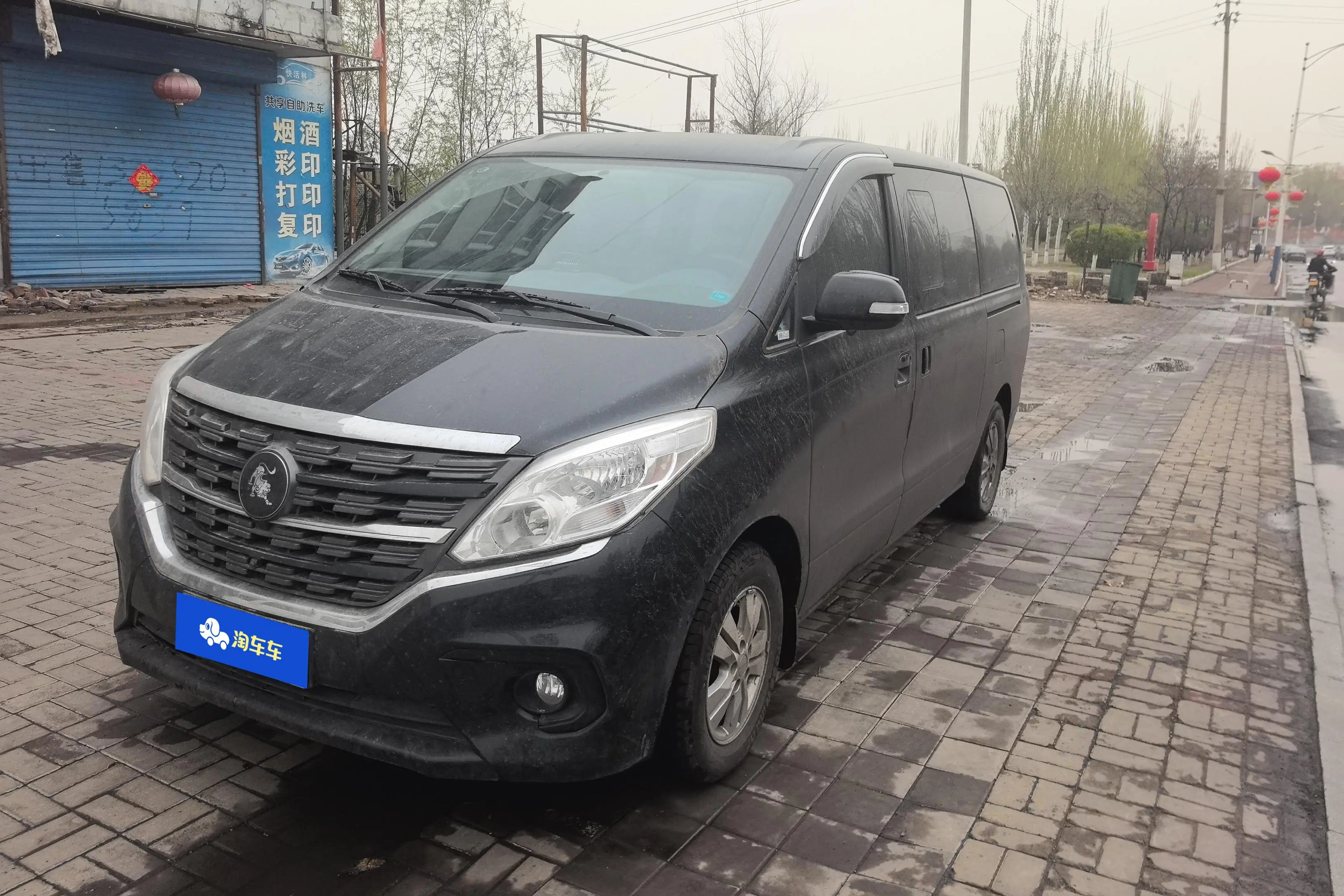 Forthing Lingzhi PLUS