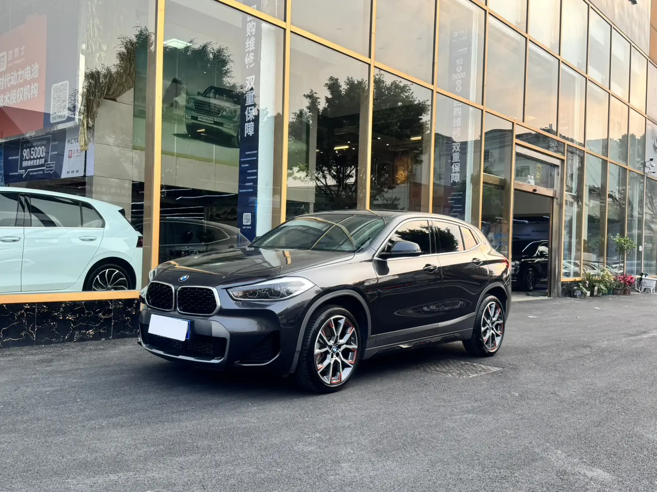 BMW X2