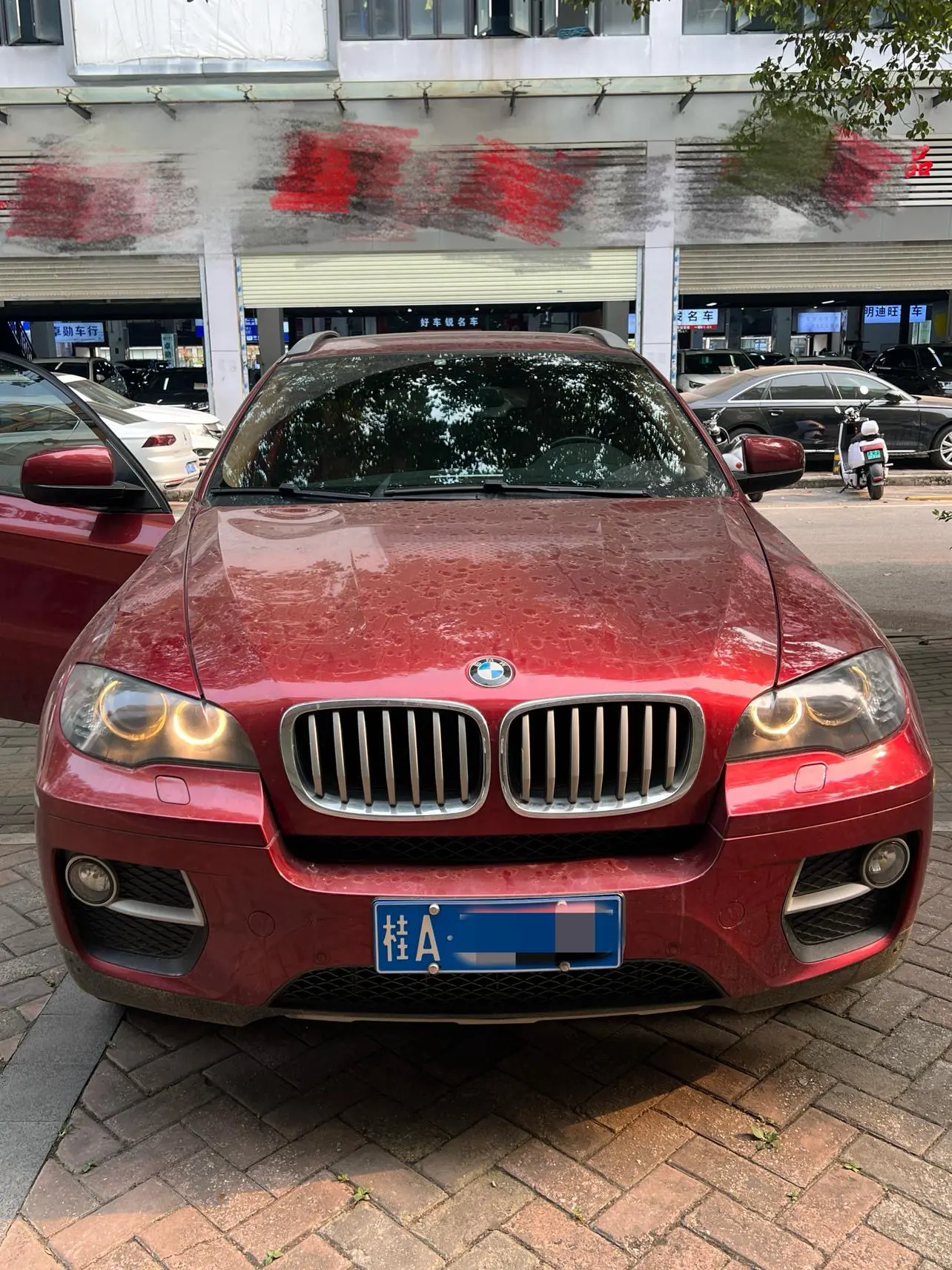 BMW X6