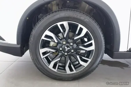 catalog-car-5