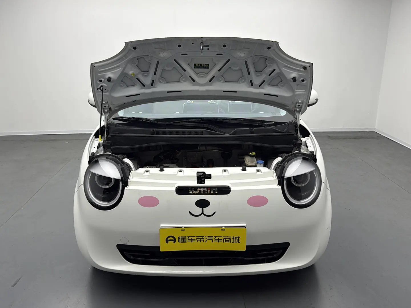 Changan Lumin