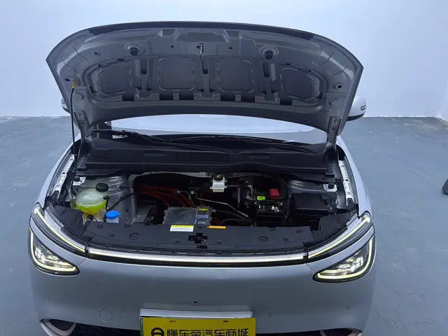 Dongfeng Nano 01