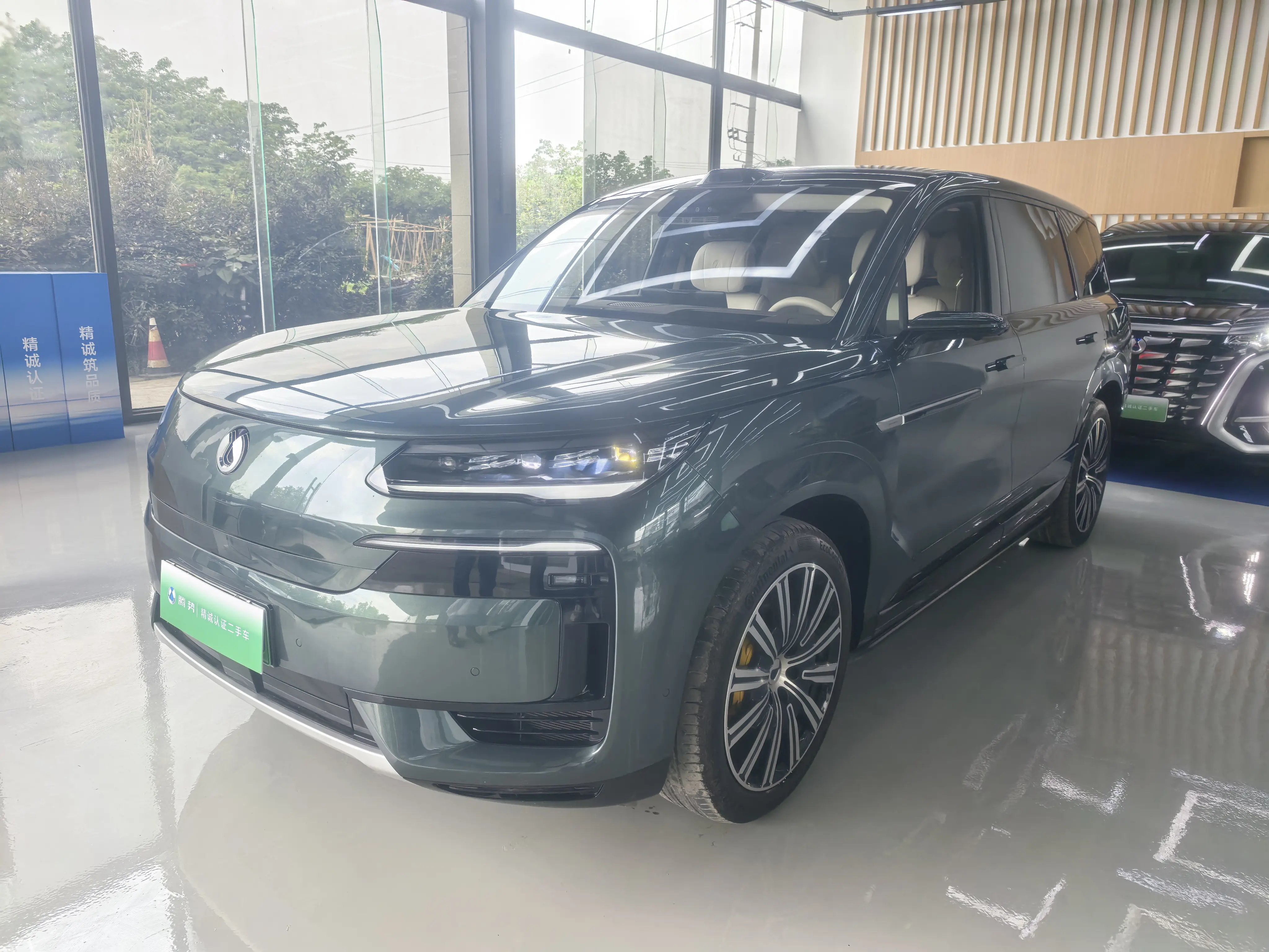 Denza Tengzhong N9 DM